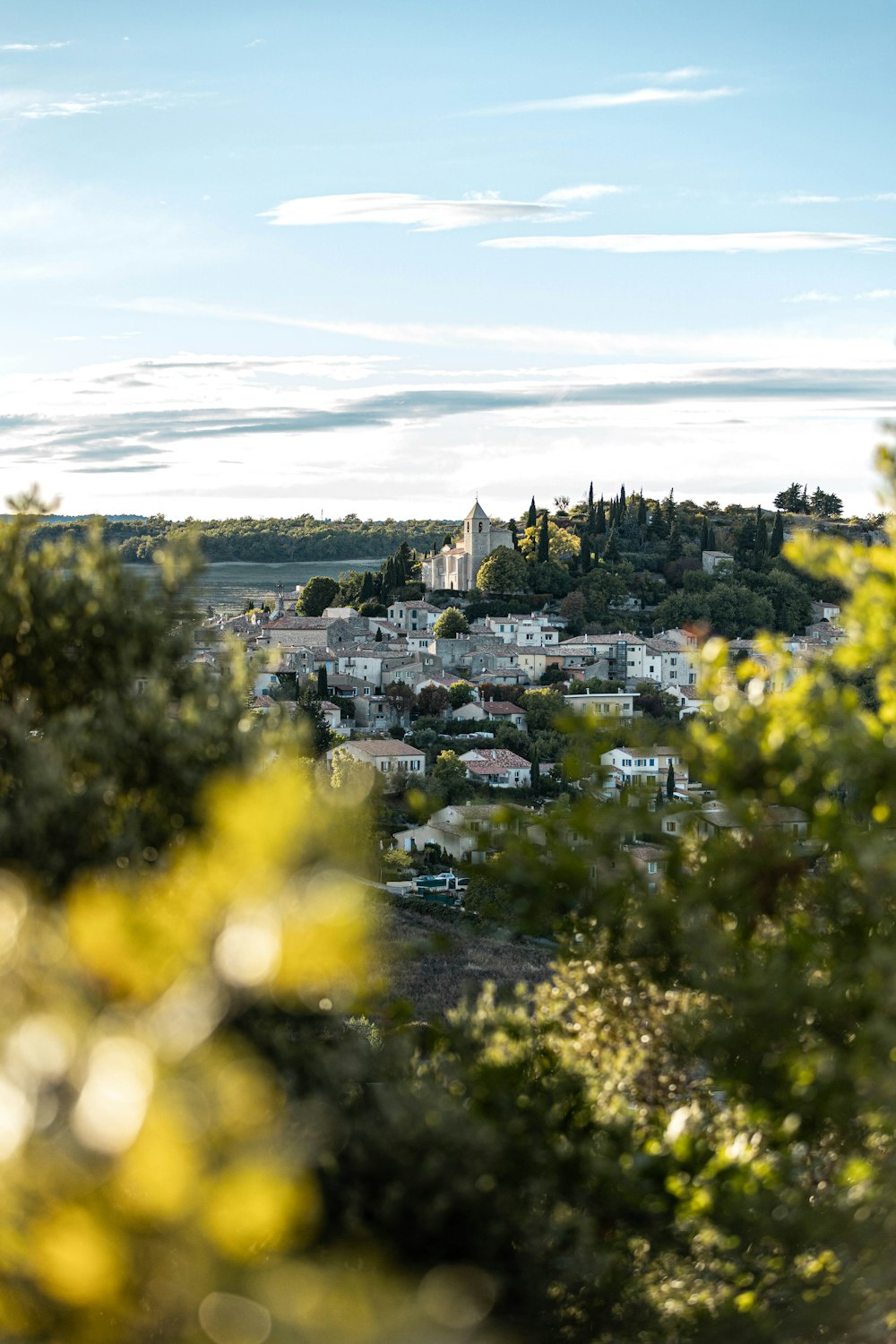 a city with trees and buildings