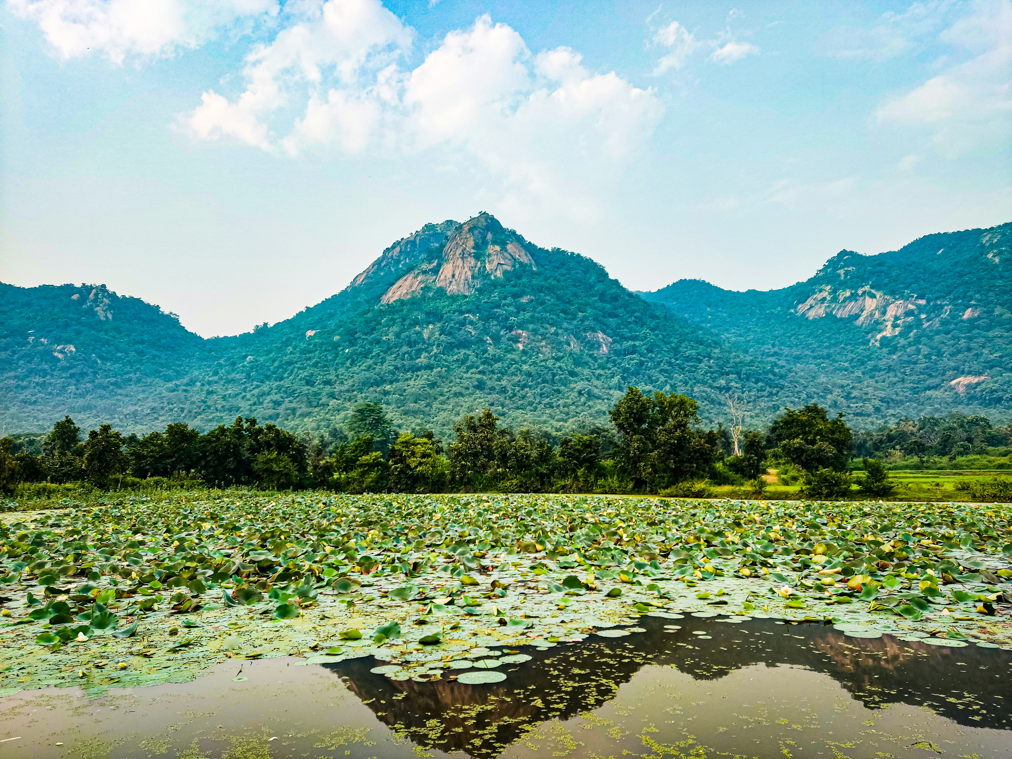 Photo by neo_subhamoy