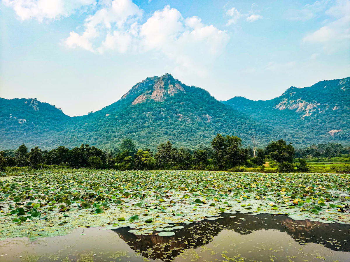 Ajodhya Hills