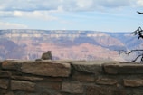 a cat sitting on a rock wall