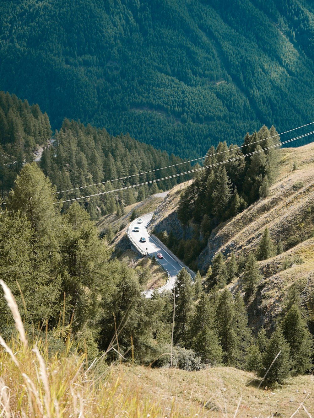 a train going through a valley