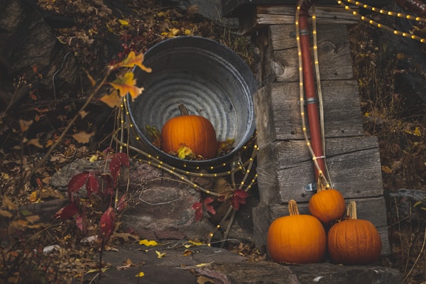 Three pumpkins are arranged in a rustic outdoor setting with twinkling string lights. A large, metallic tub rests on its side with one pumpkin placed inside. The surrounding area is decorated with fallen autumn leaves in shades of red, yellow, and brown. A wooden structure and some pipes are part of the background, adding to the rural, autumnal atmosphere.