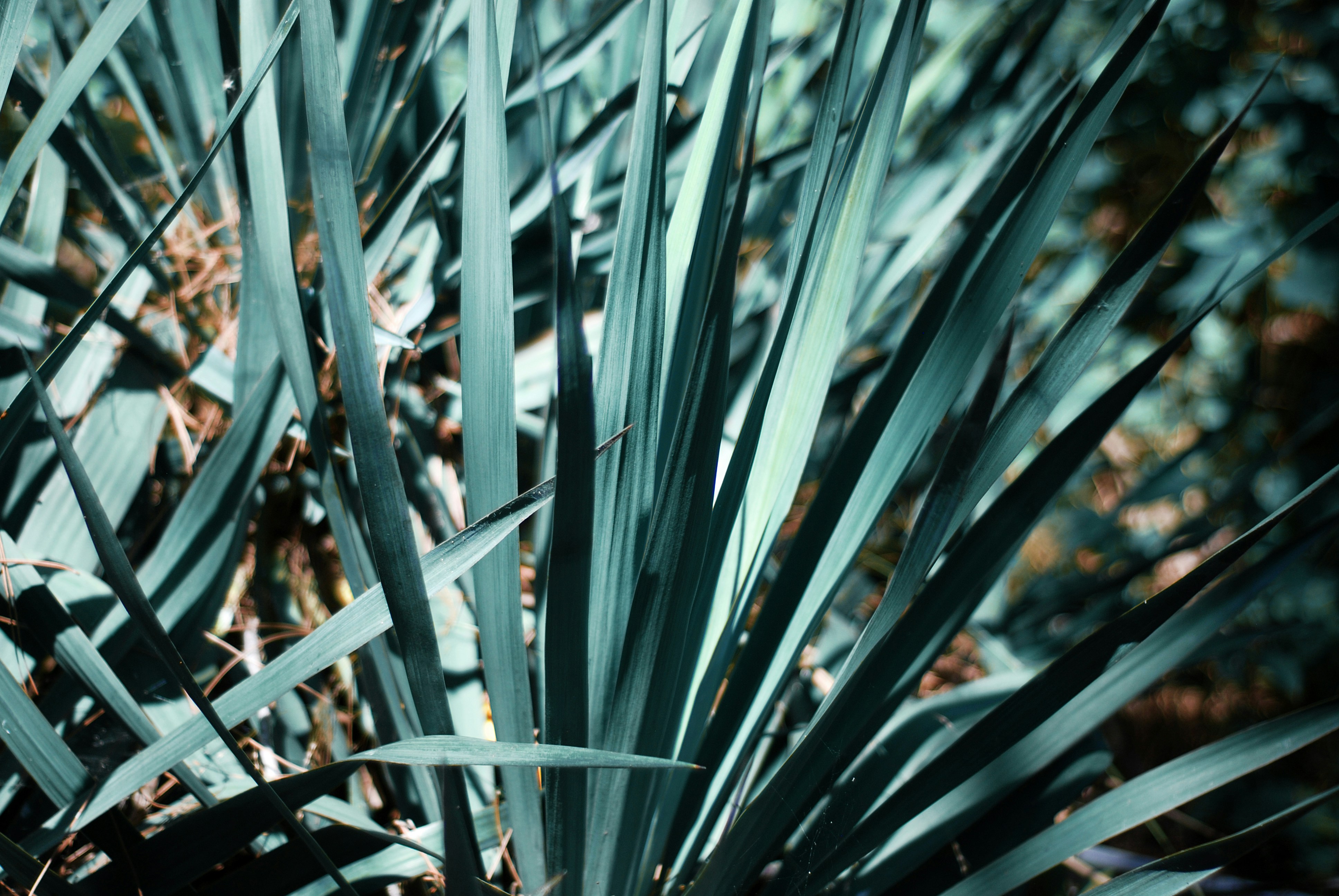 Photo by kovalskihelga