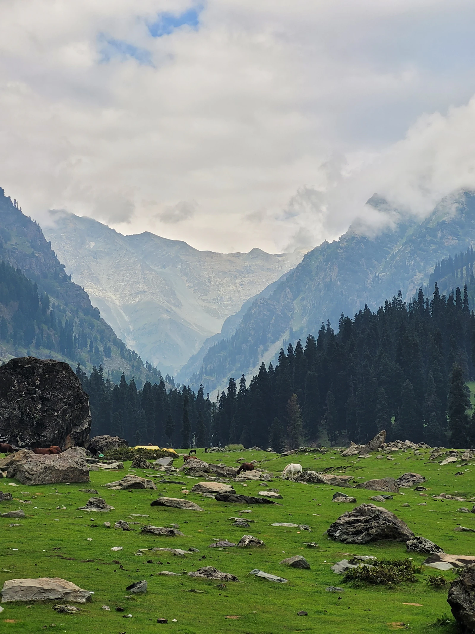 Sonmarg meadow with snow-capped peaks and golden light