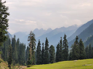 Gulmarg