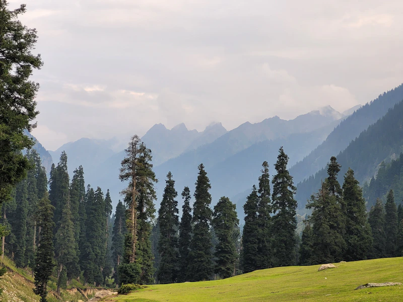 Best Gluten-Free Restaurants and Cafes in Gulmarg