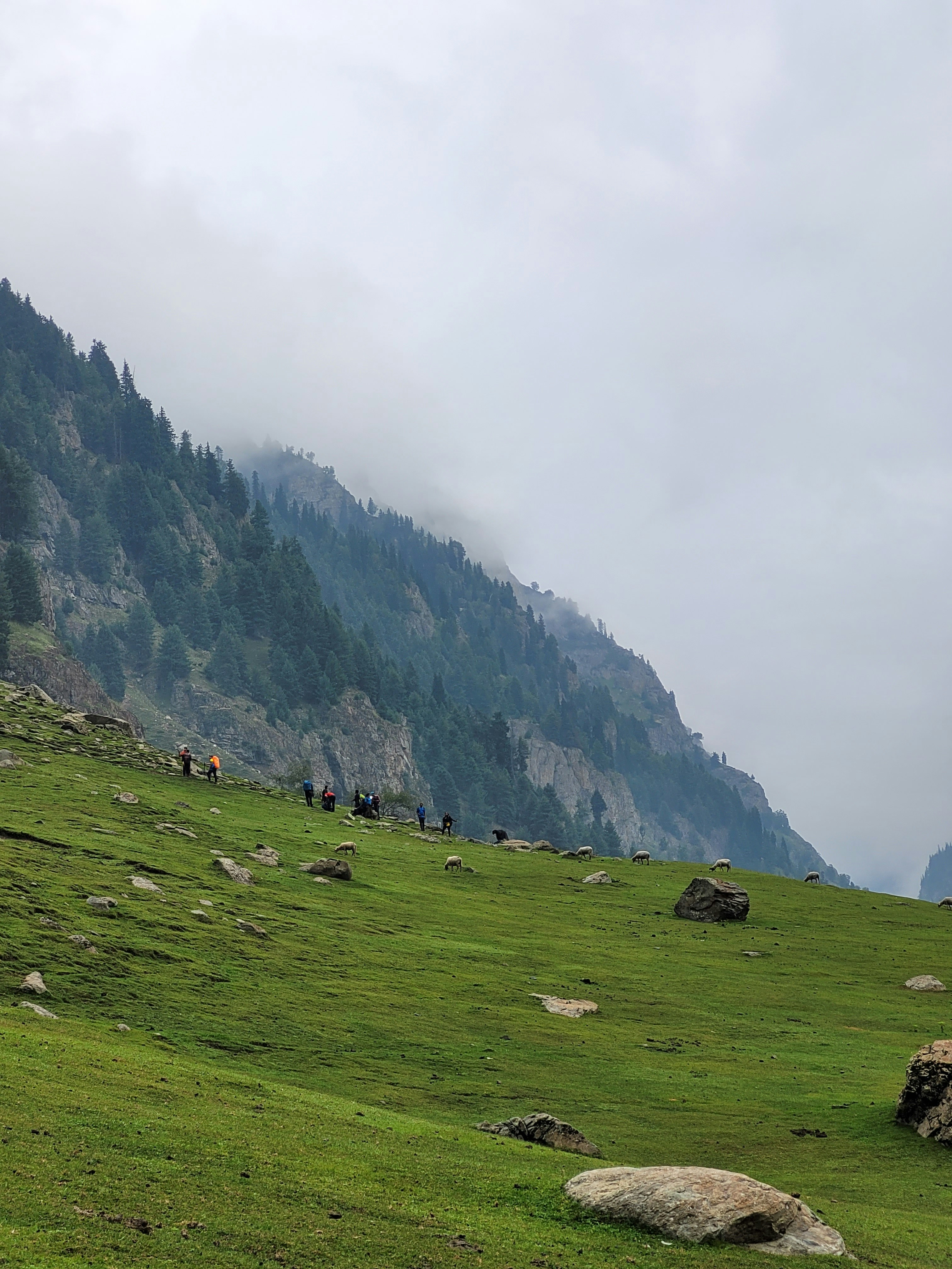 Photo by iamankurkhandelwal