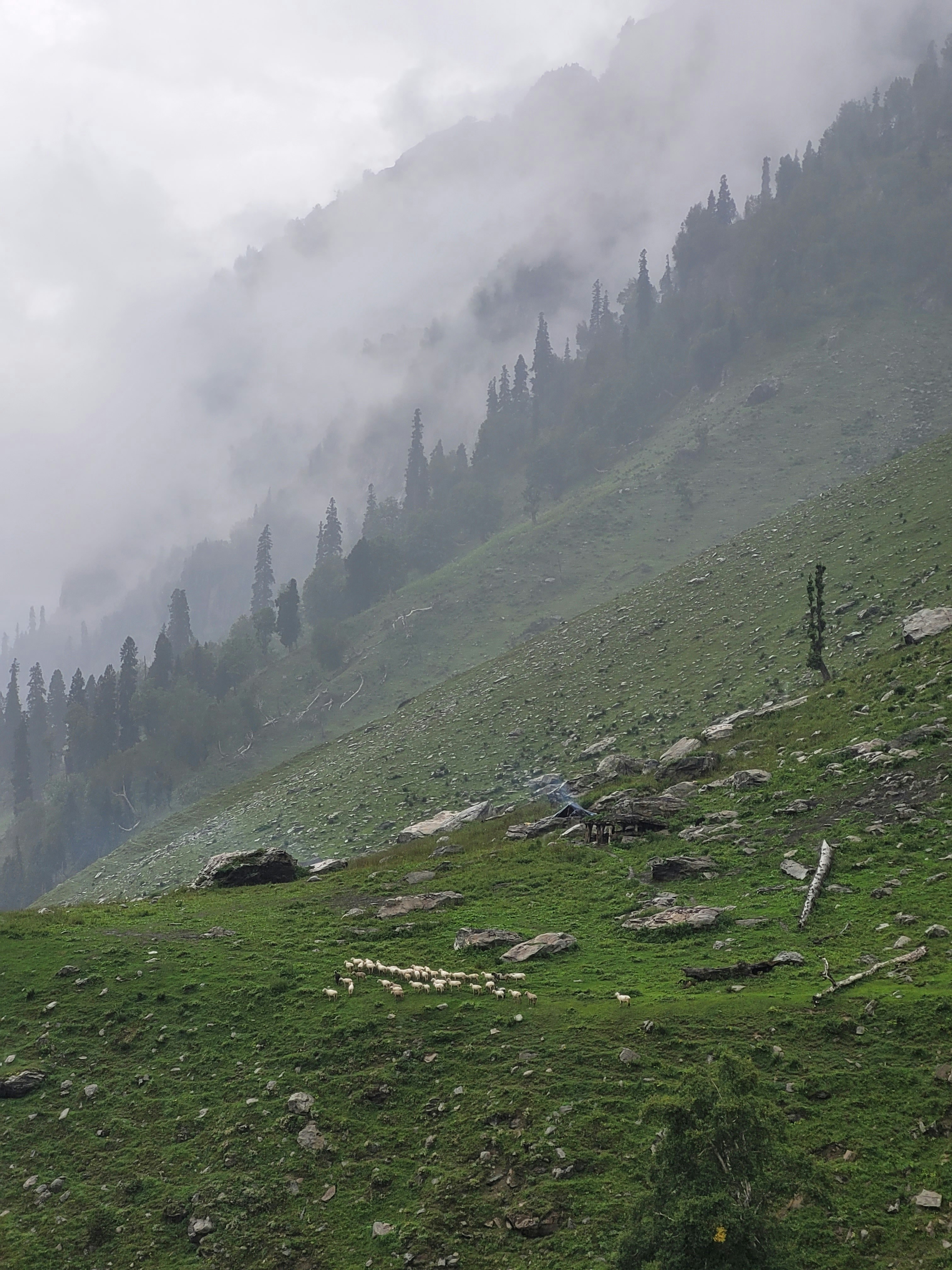 Photo by iamankurkhandelwal