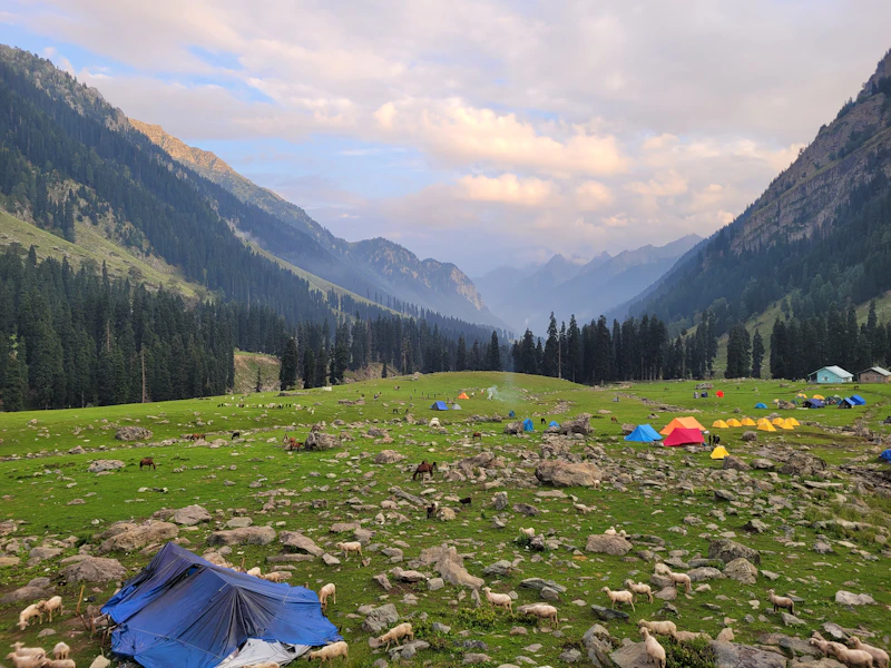 Best Solo Traveler Spots in Gulmarg: Where to Eat, Drink, and Connect