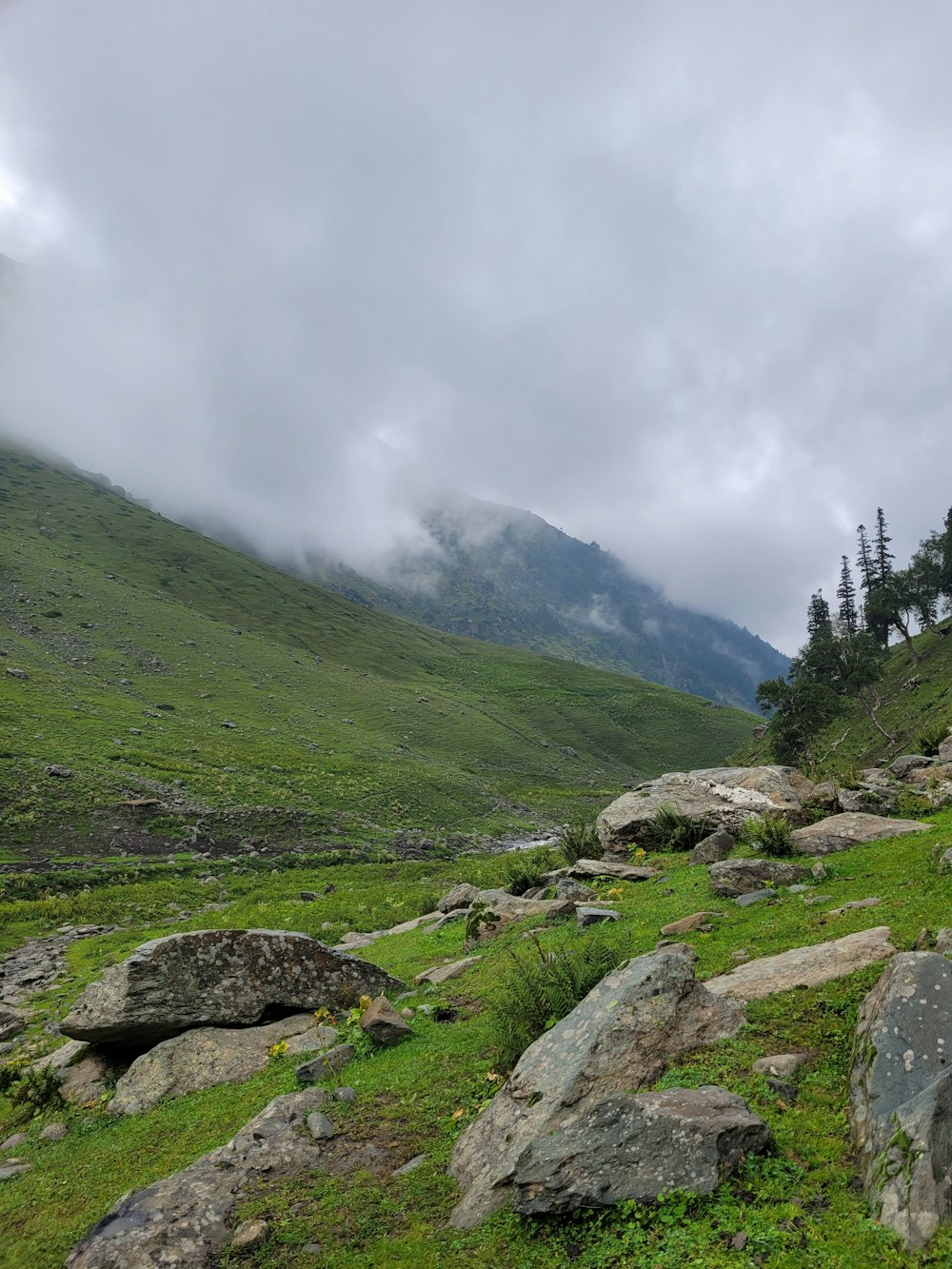 a grassy valley with rocks and trees