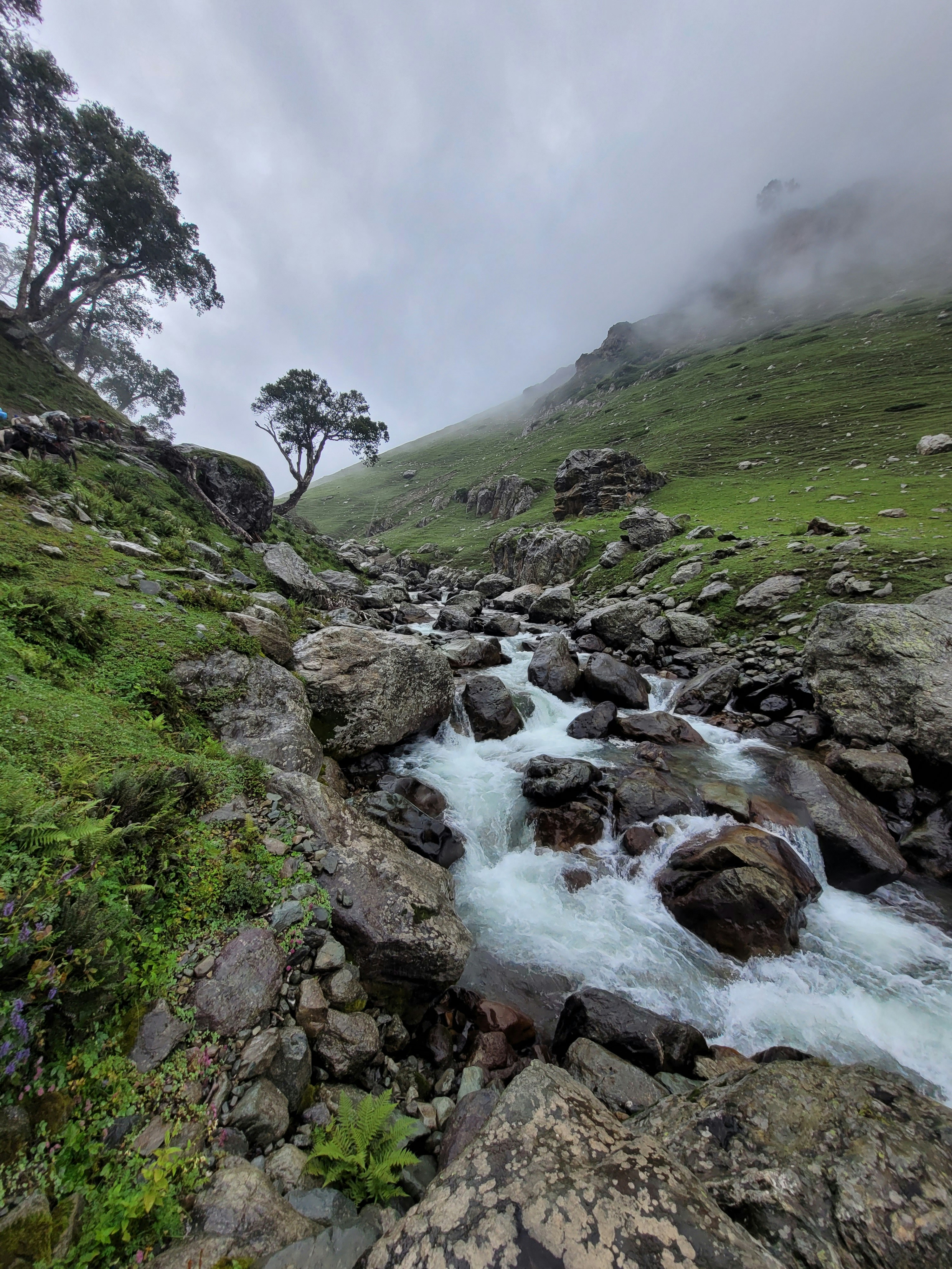 Photo by iamankurkhandelwal