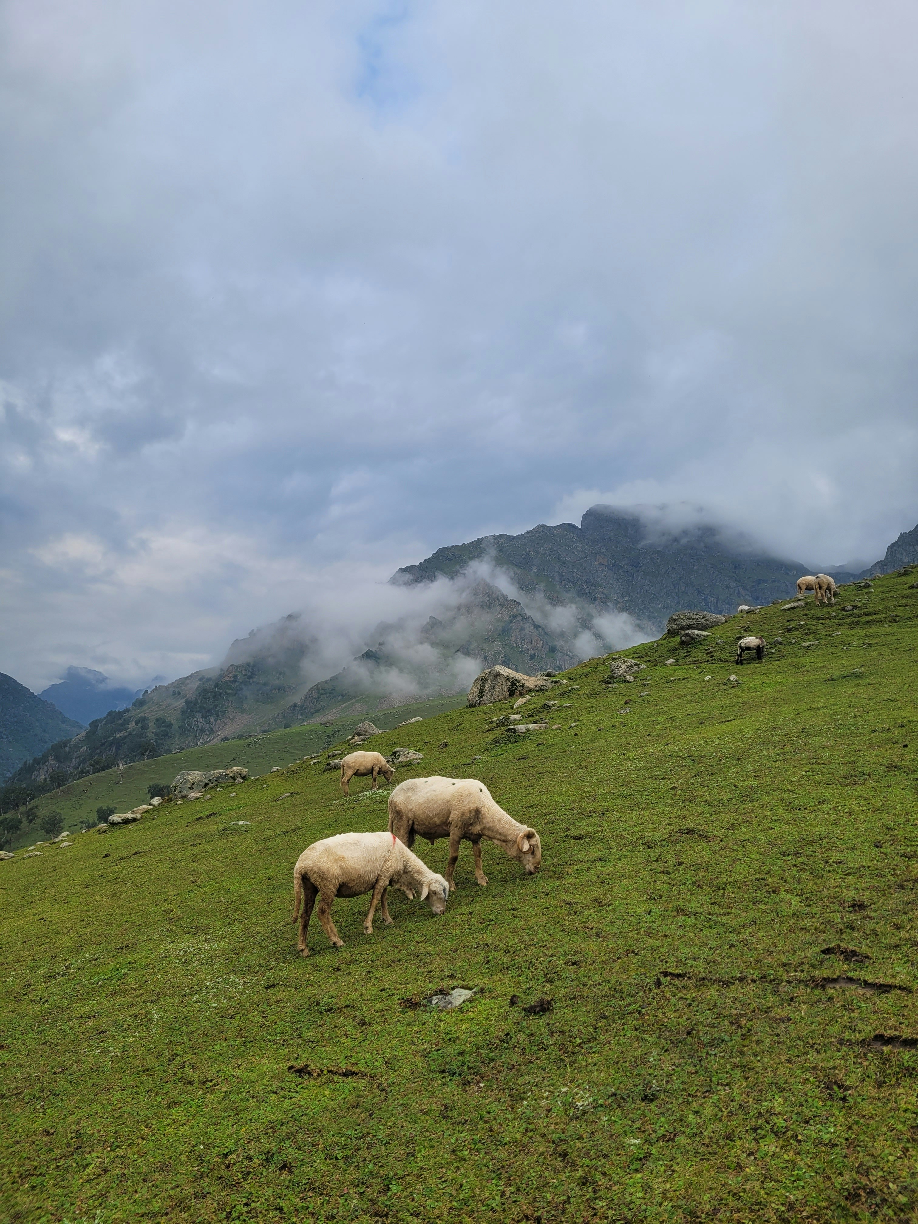 Photo by iamankurkhandelwal