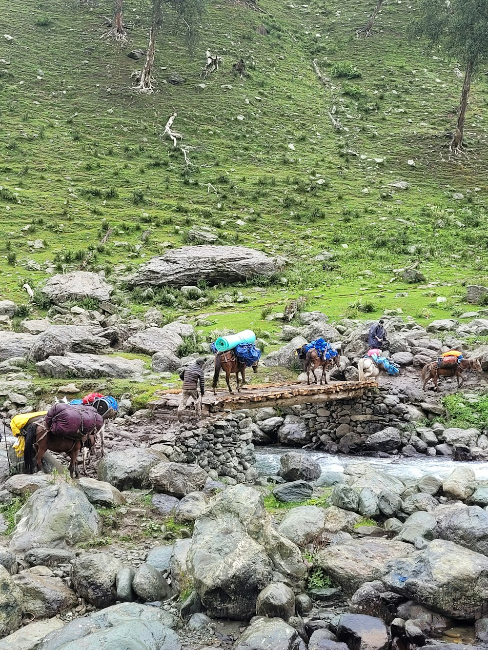 a group of people hiking