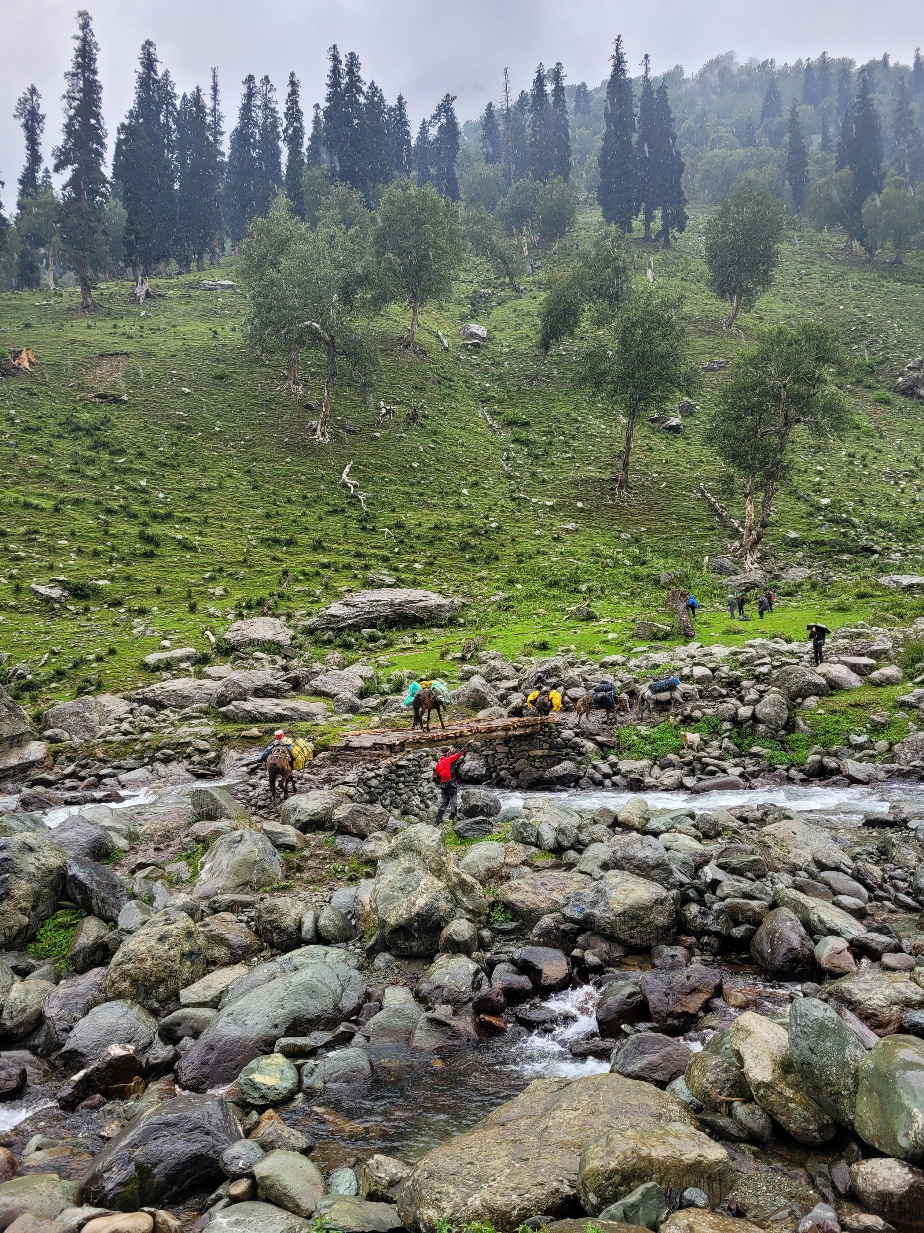Photo by iamankurkhandelwal