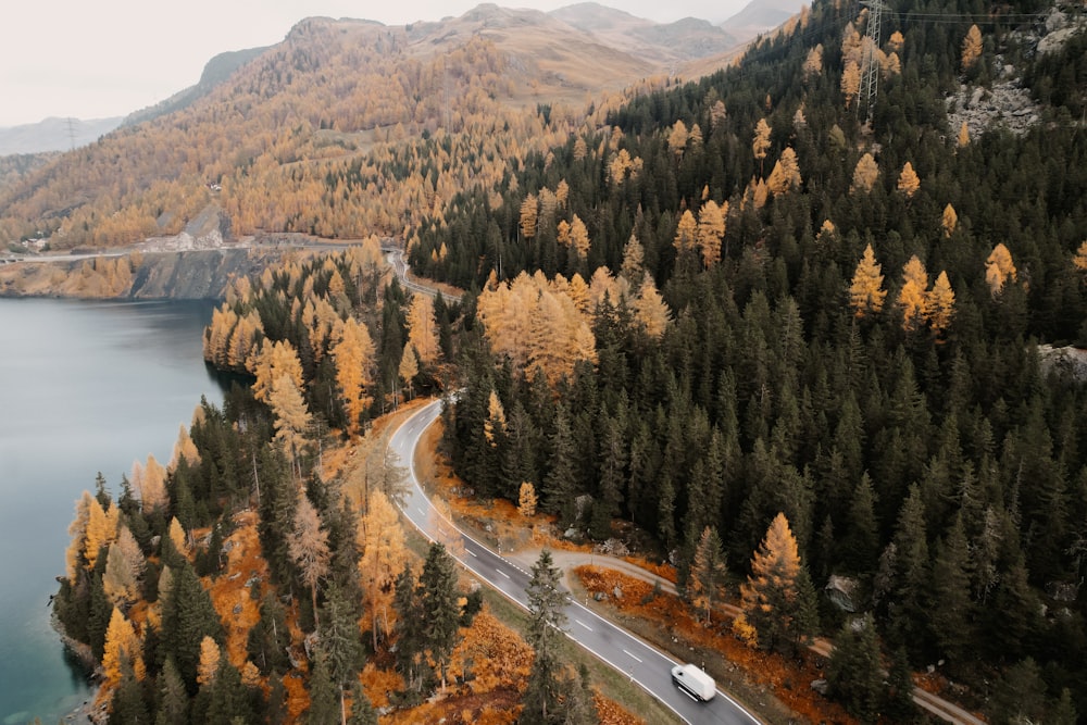 a road with trees and a body of water by it