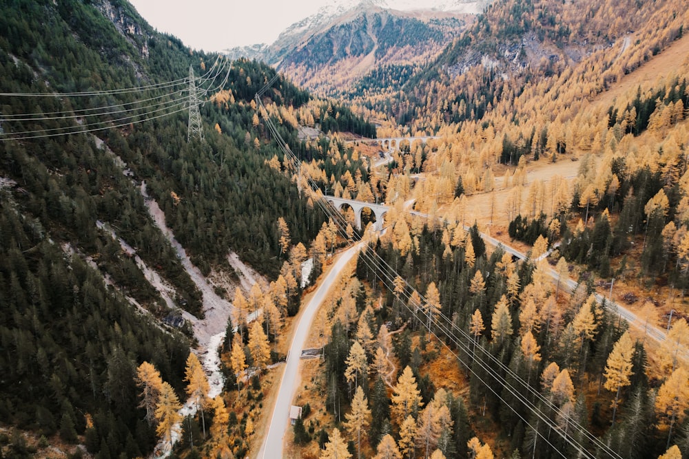 a winding road through a forest