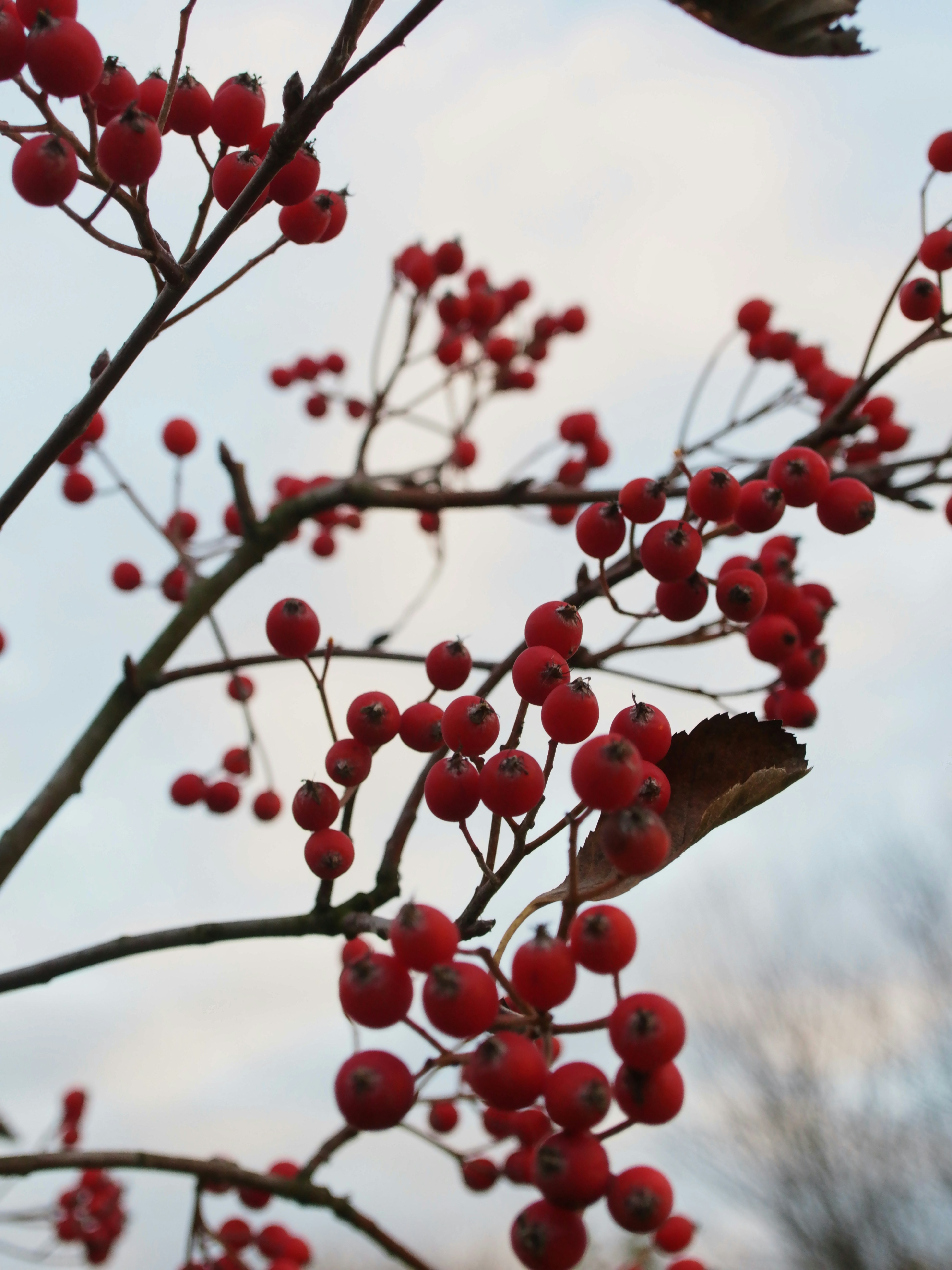 Photo by vinahradau