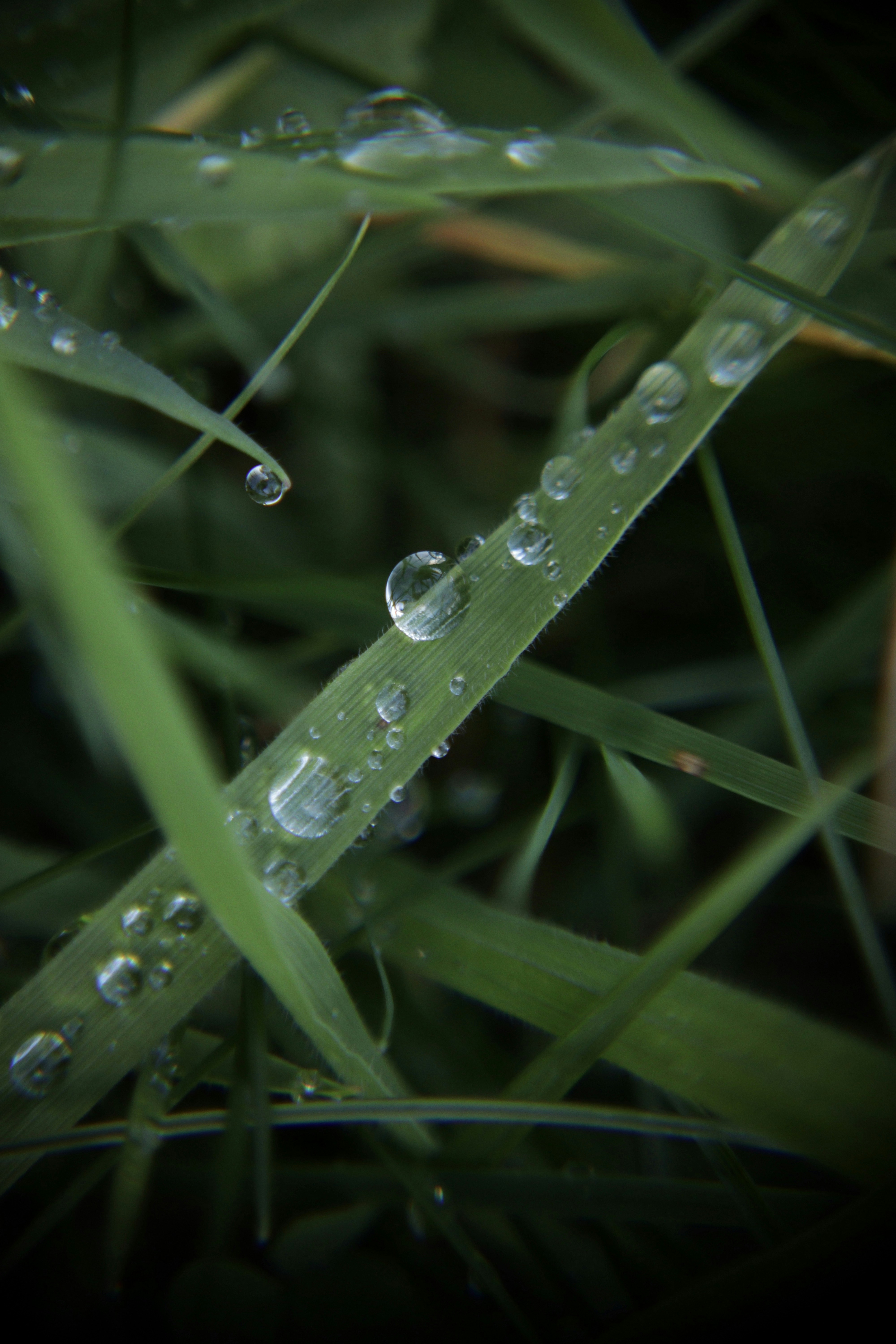 Photo by timesnewroman14