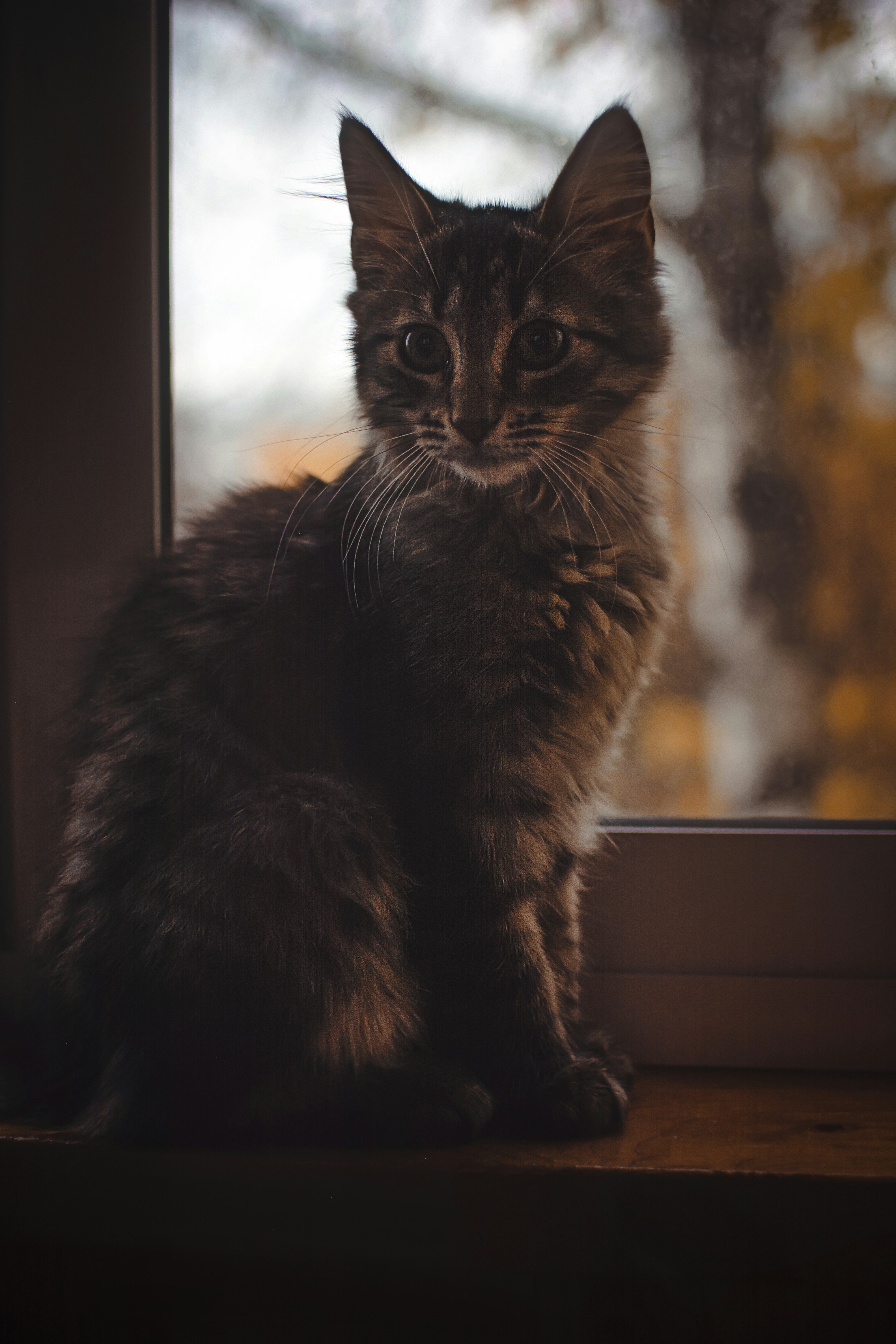 Photo by eadutskevich