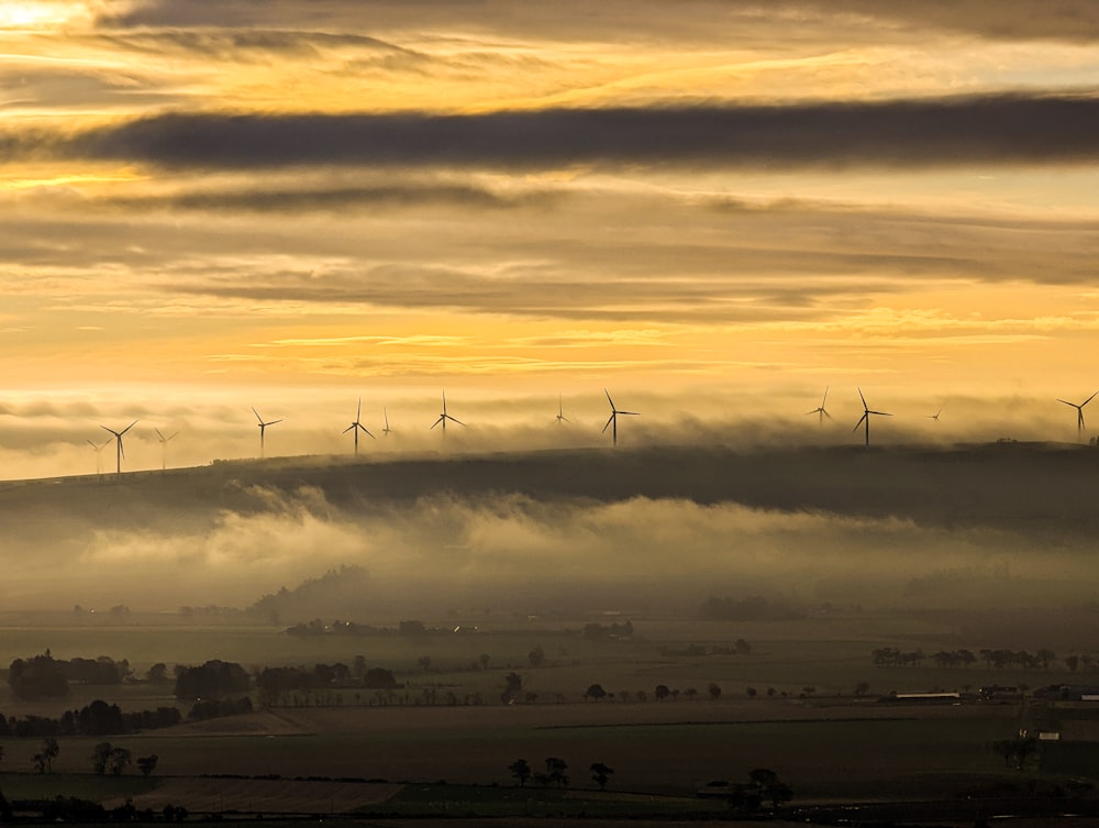 a group of wind turbines