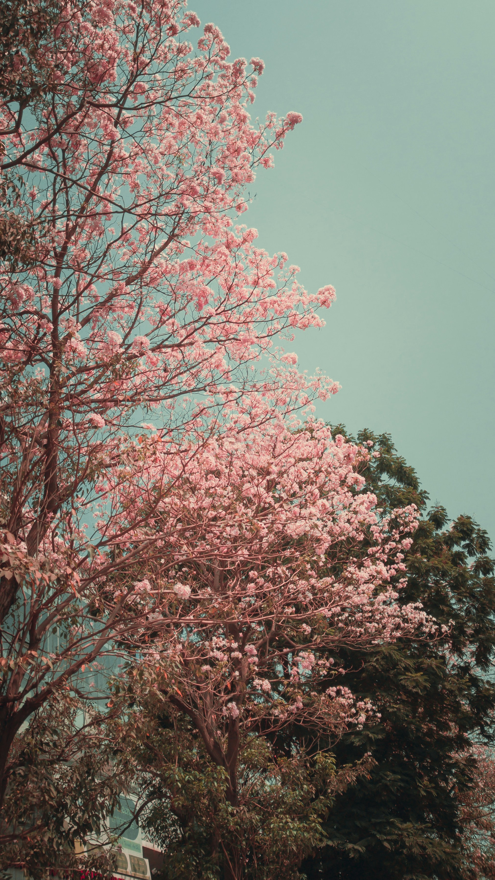 Photo by vinitpatel_2021