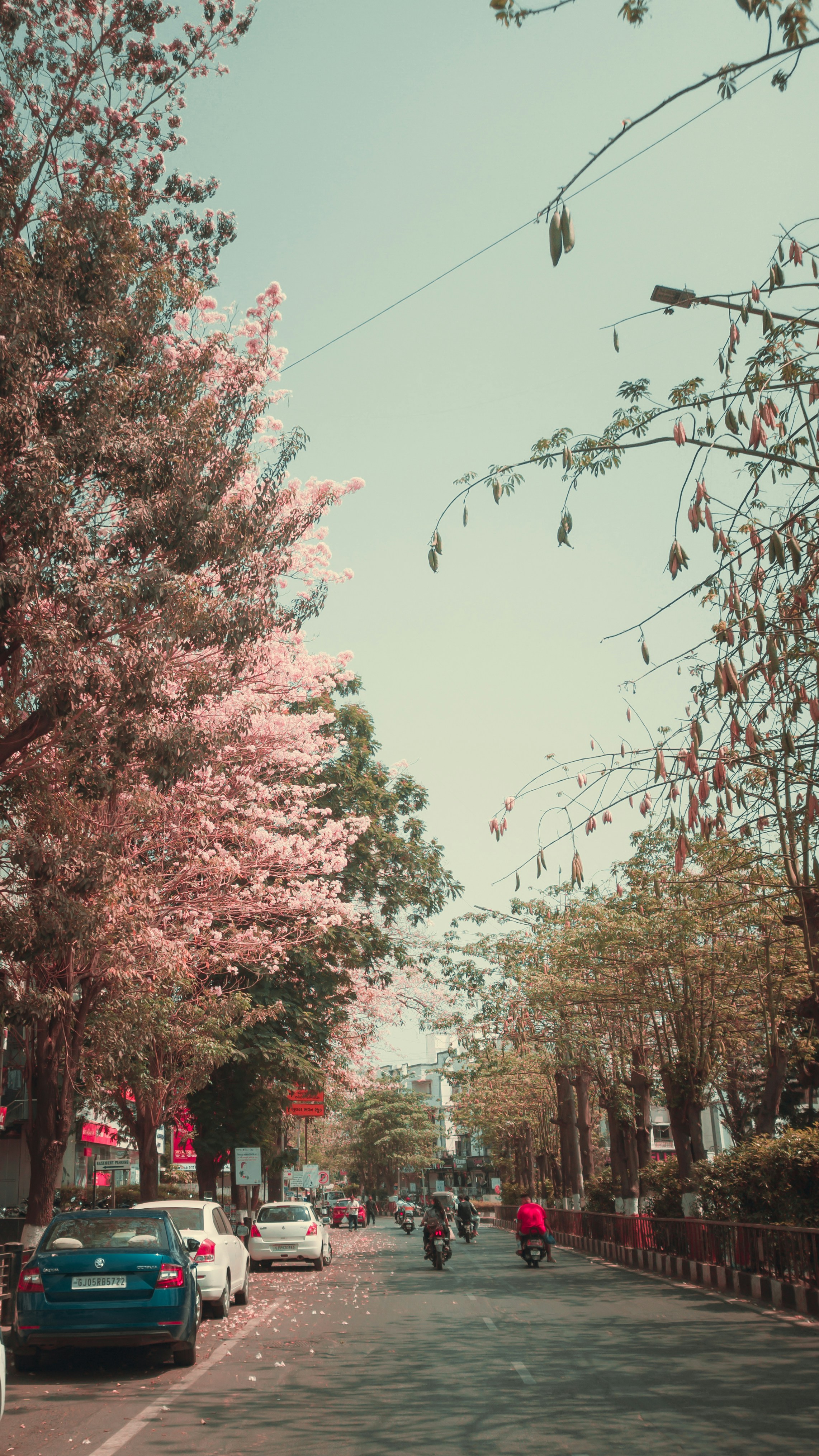 Photo by vinitpatel_2021