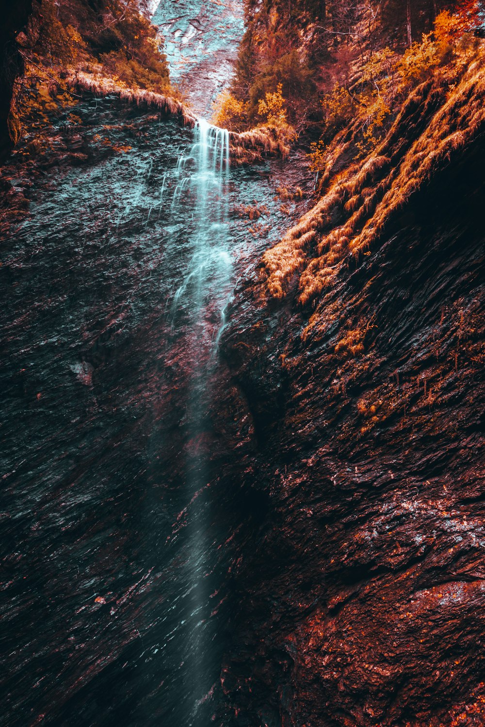 uma cachoeira em uma floresta