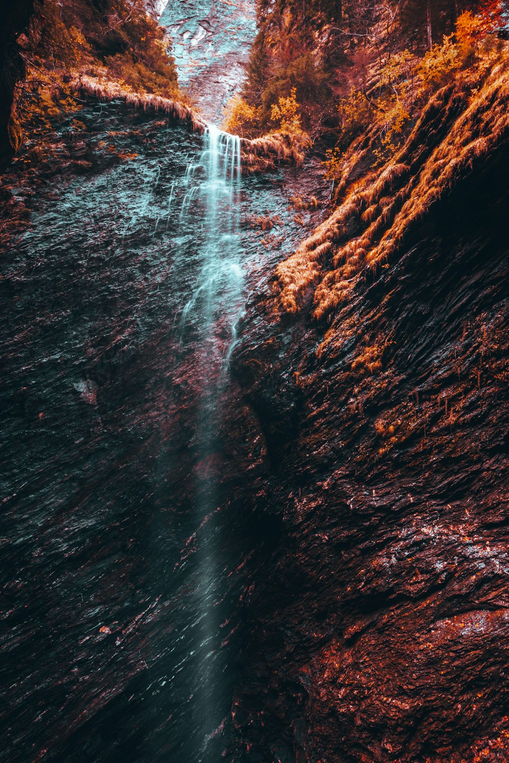 Una cascata in una foresta