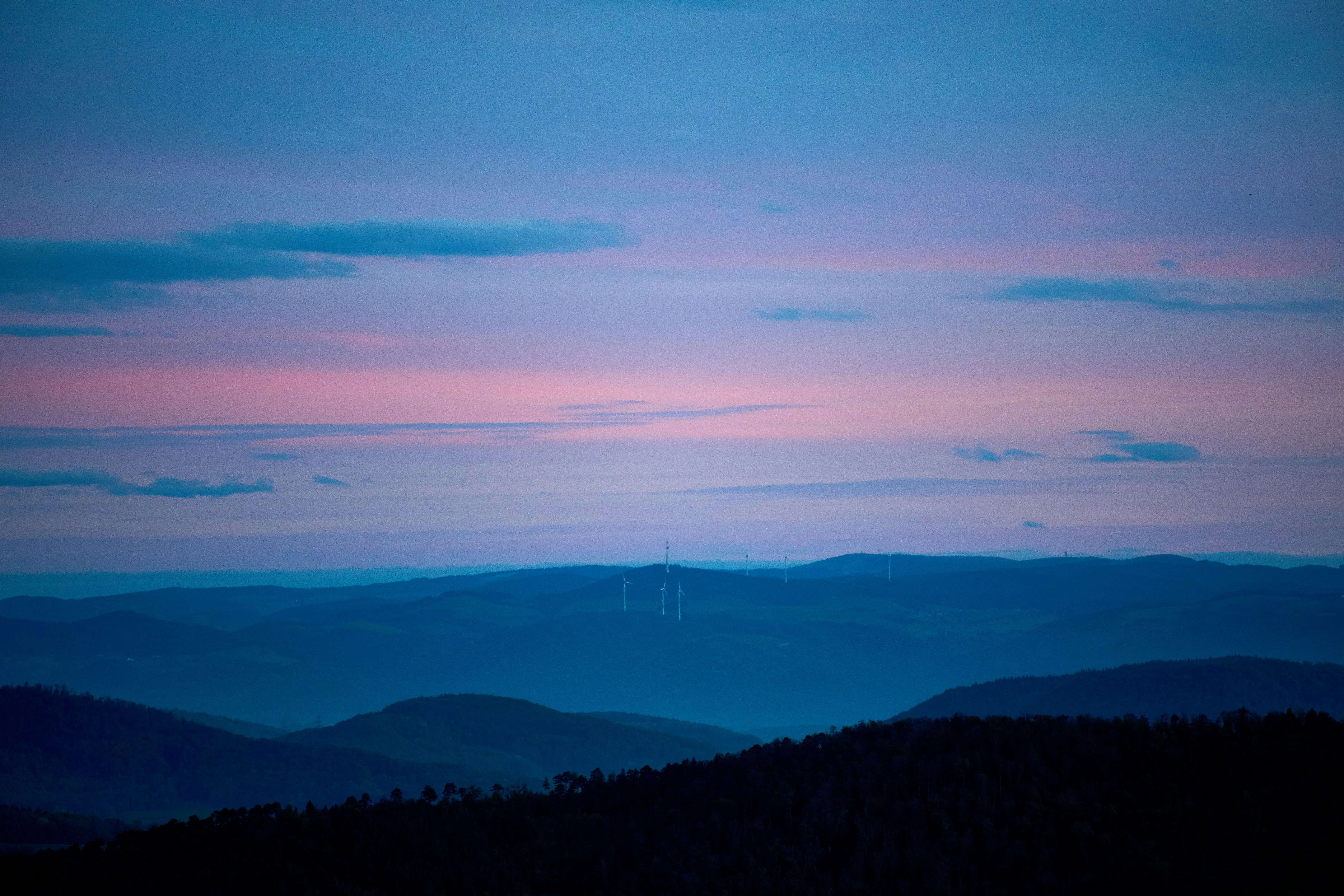 Photo by wolfgang_hasselmann