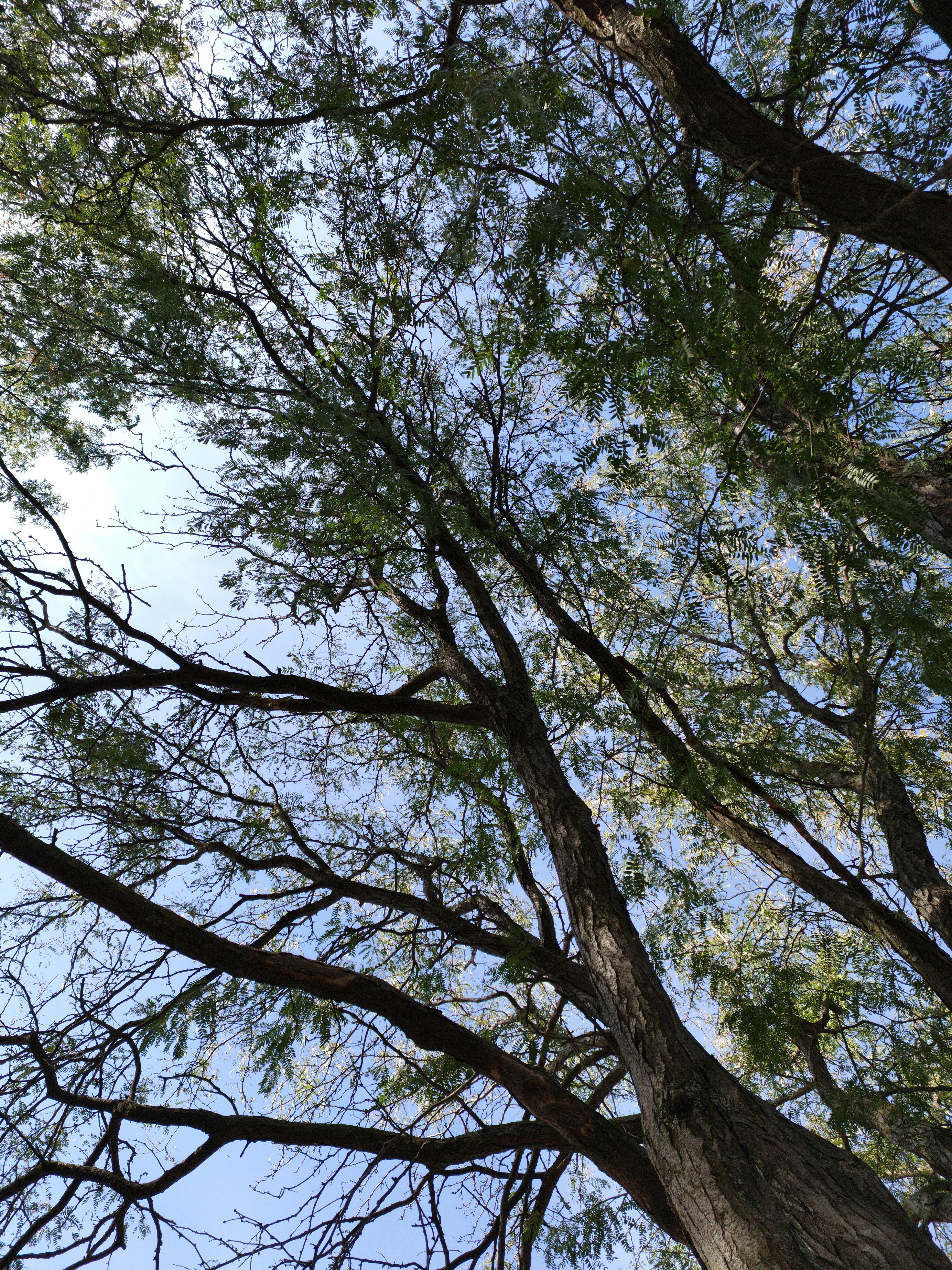 Photo by daniel_mejia