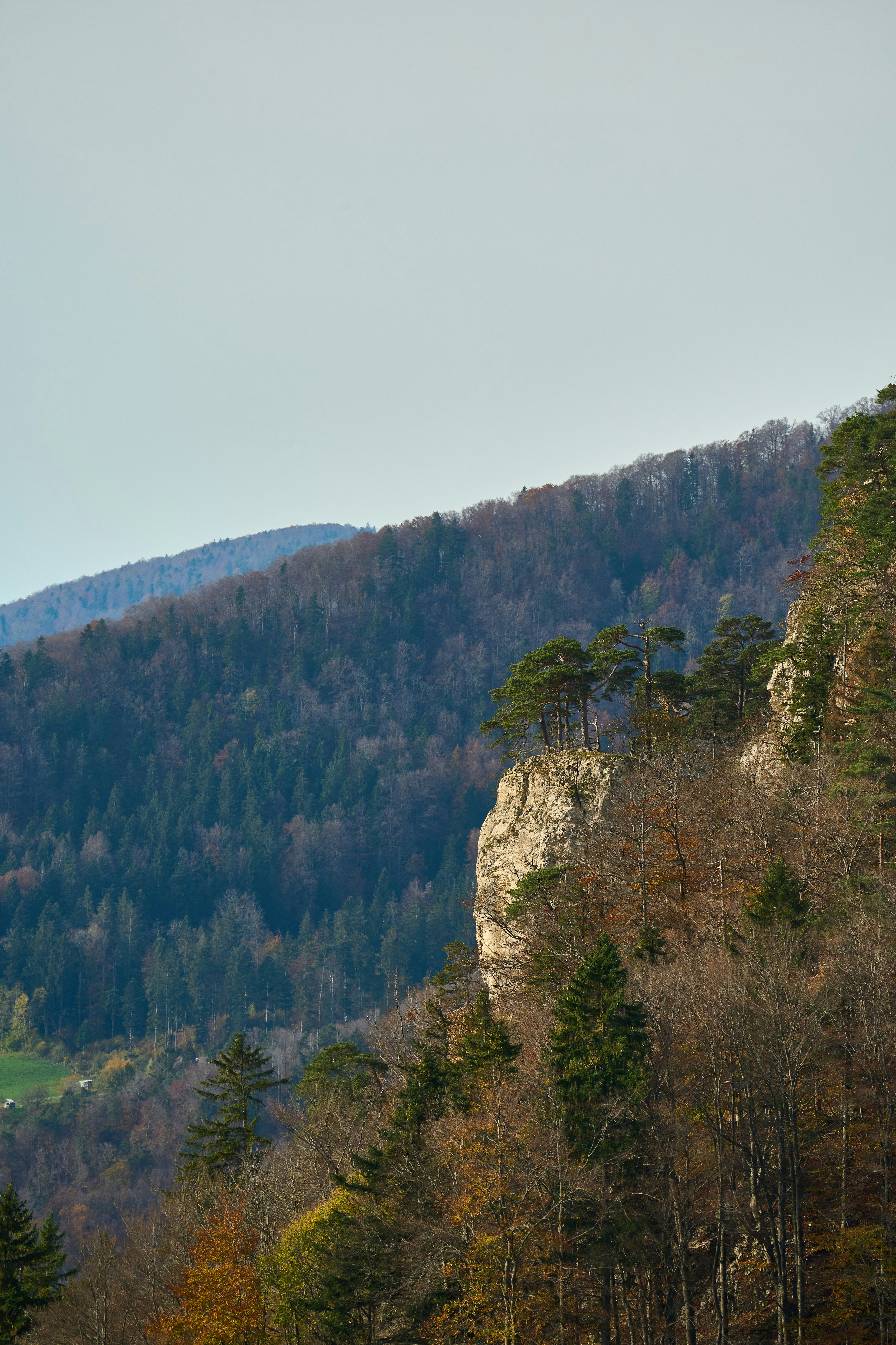 Photo by wolfgang_hasselmann