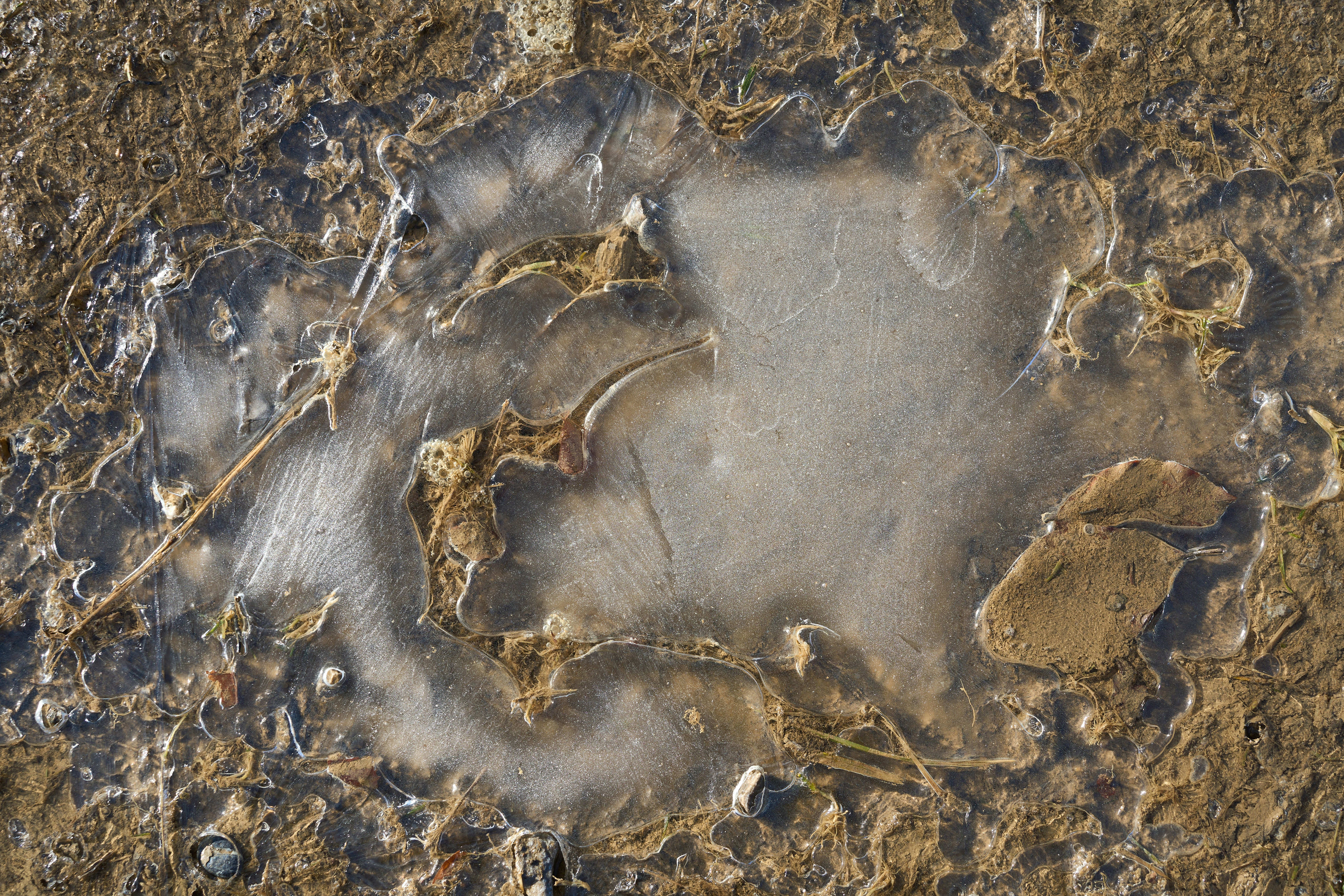 Photo by wolfgang_hasselmann