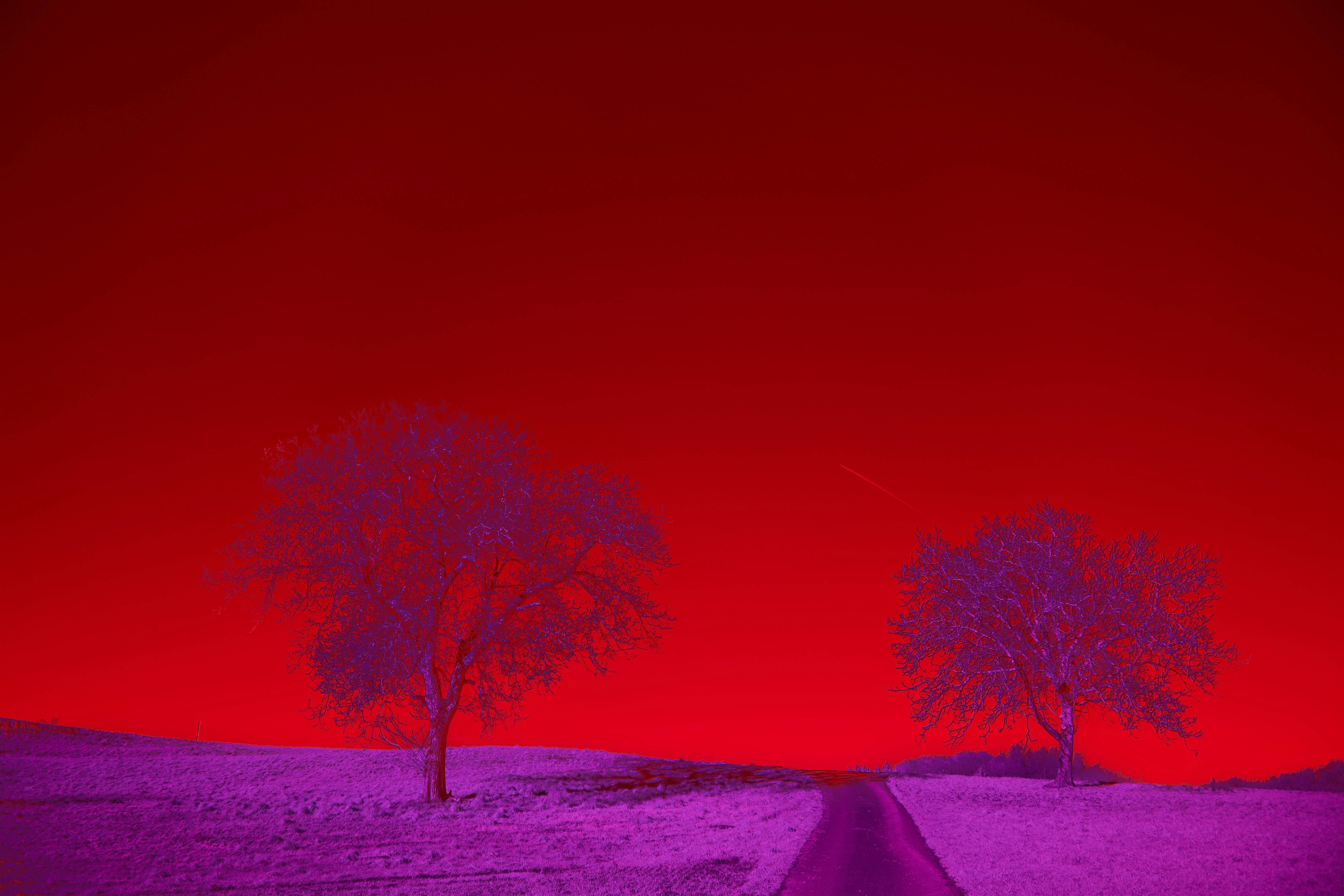 Photo by wolfgang_hasselmann