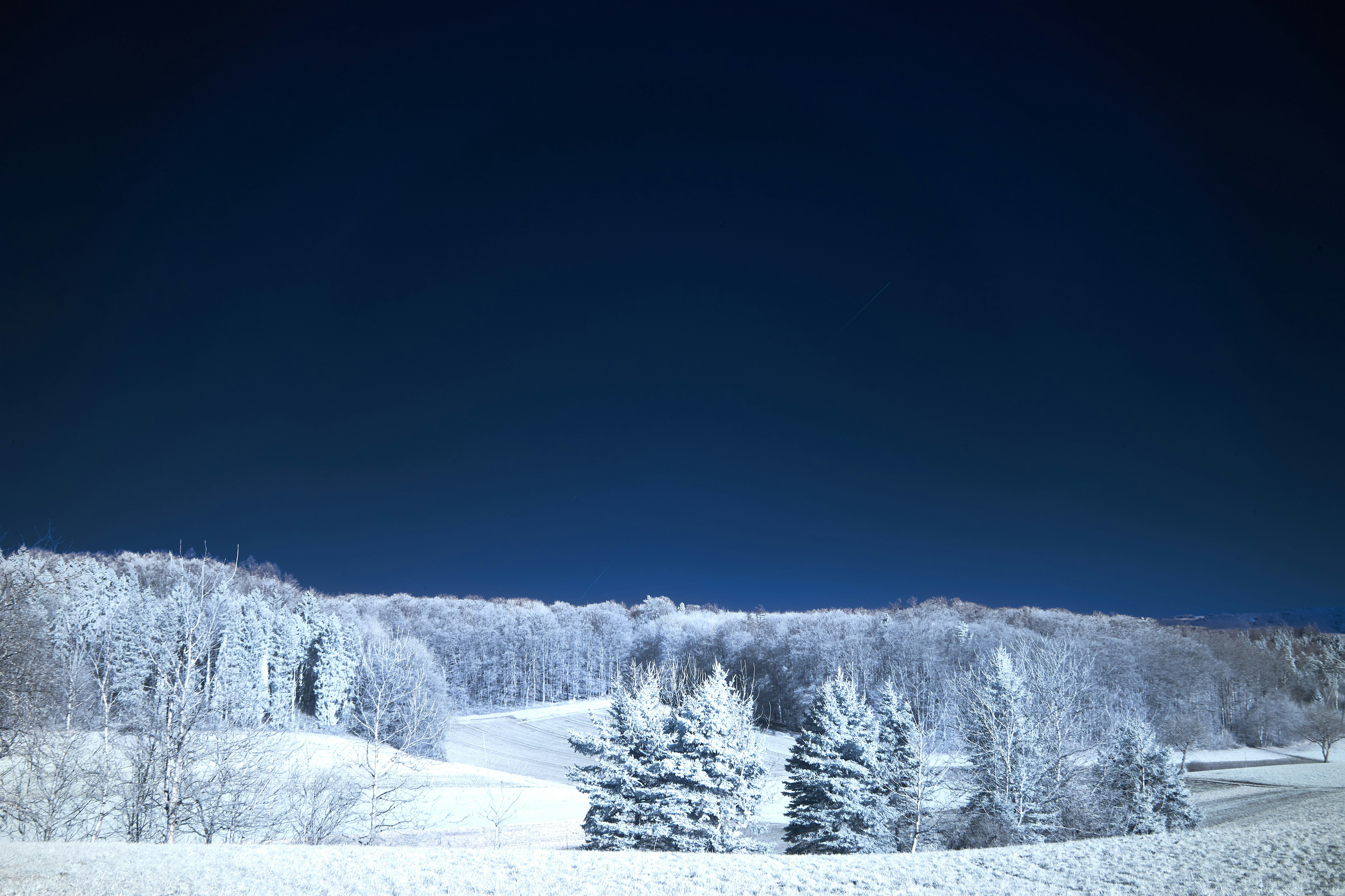 Photo by wolfgang_hasselmann