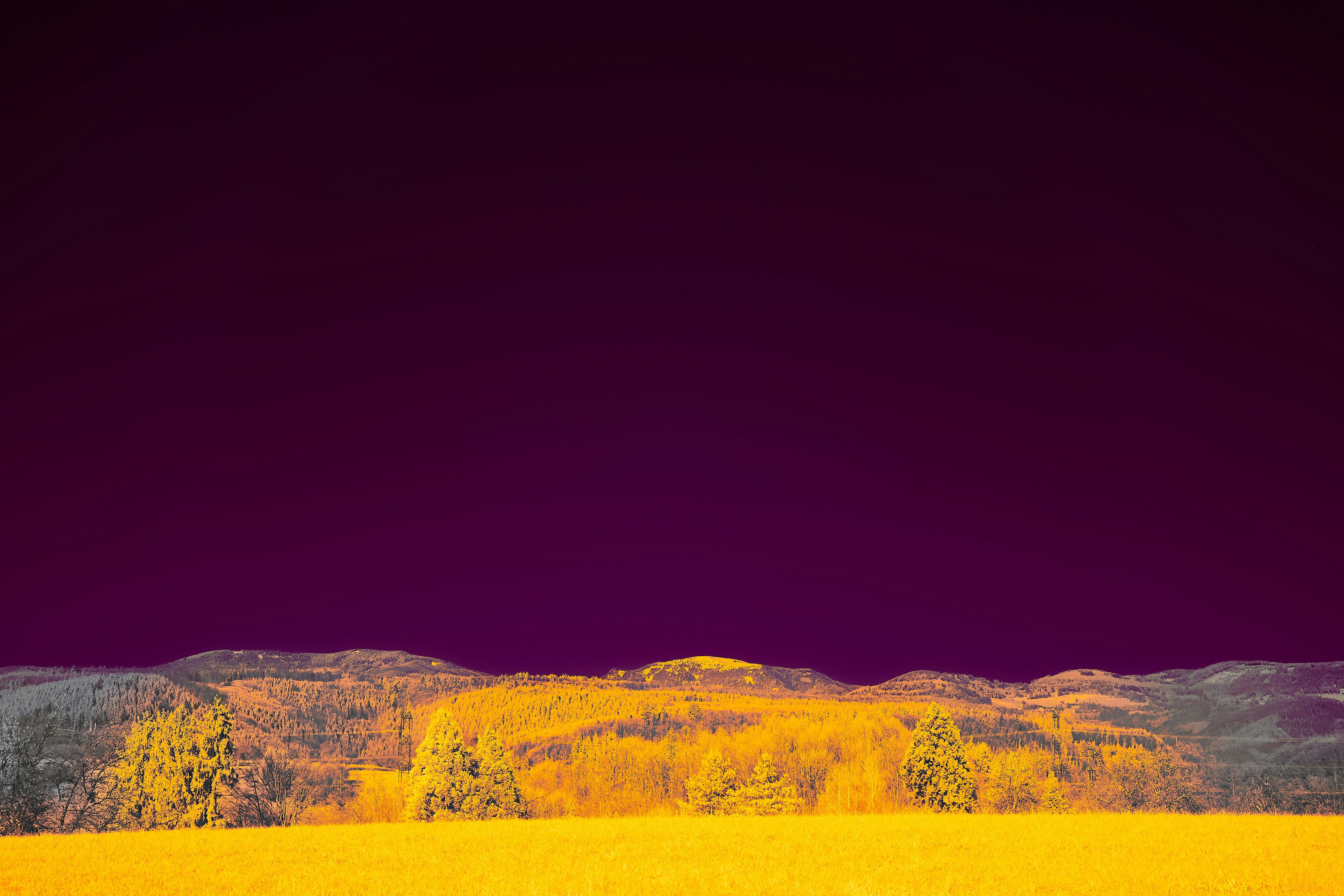 Photo by wolfgang_hasselmann