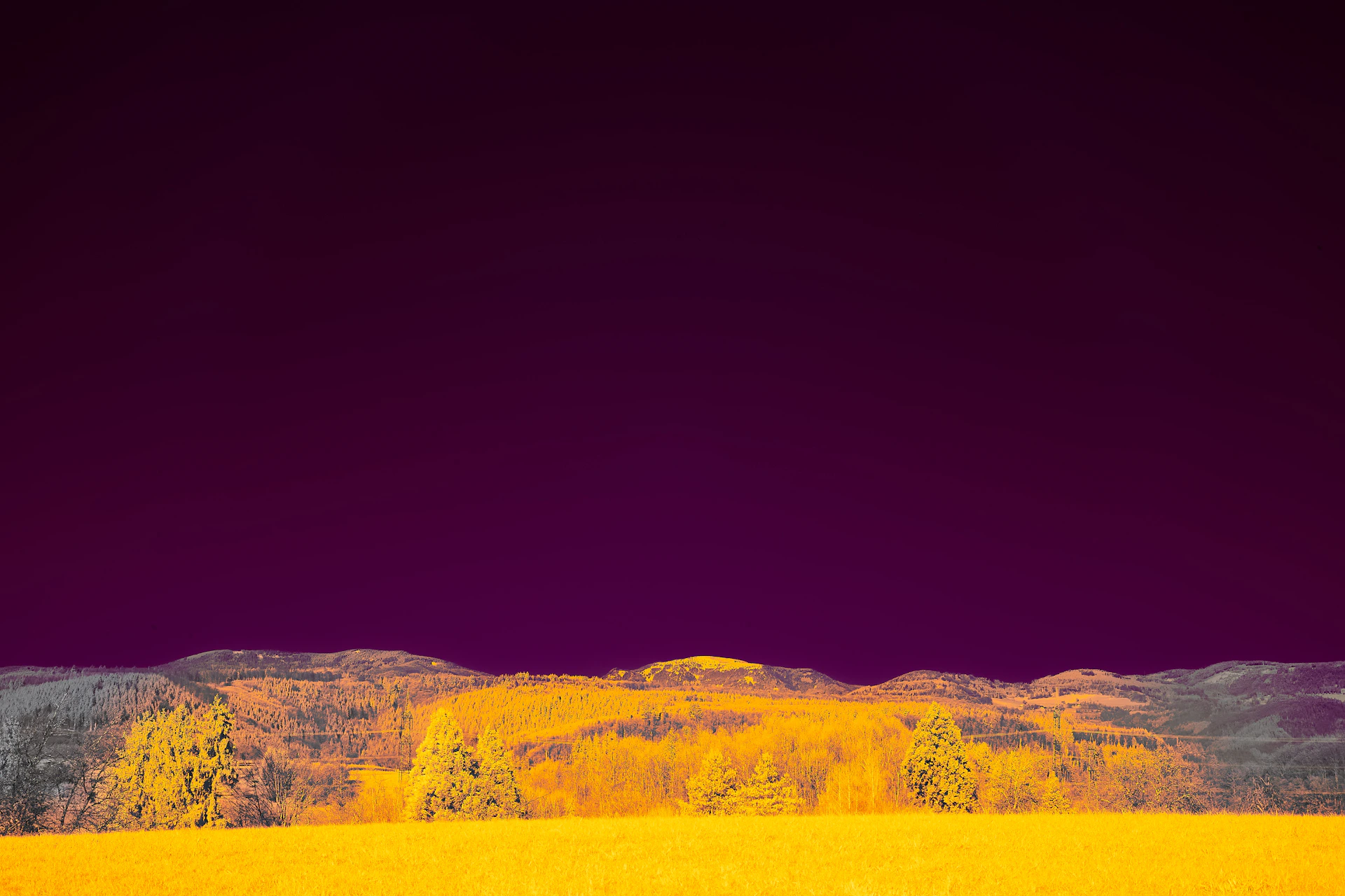 a landscape with trees and mountains in the background
