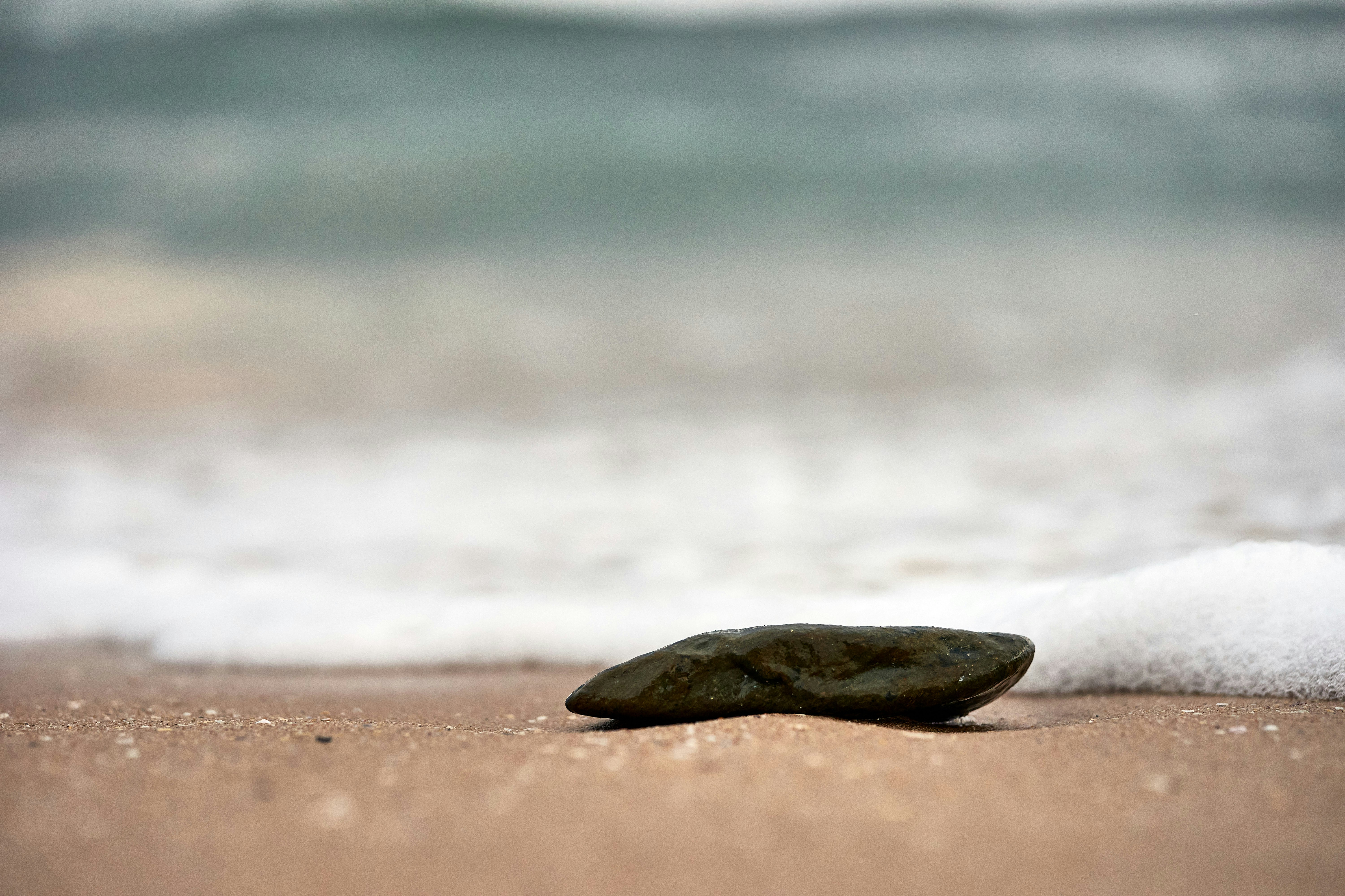 Photo by wolfgang_hasselmann