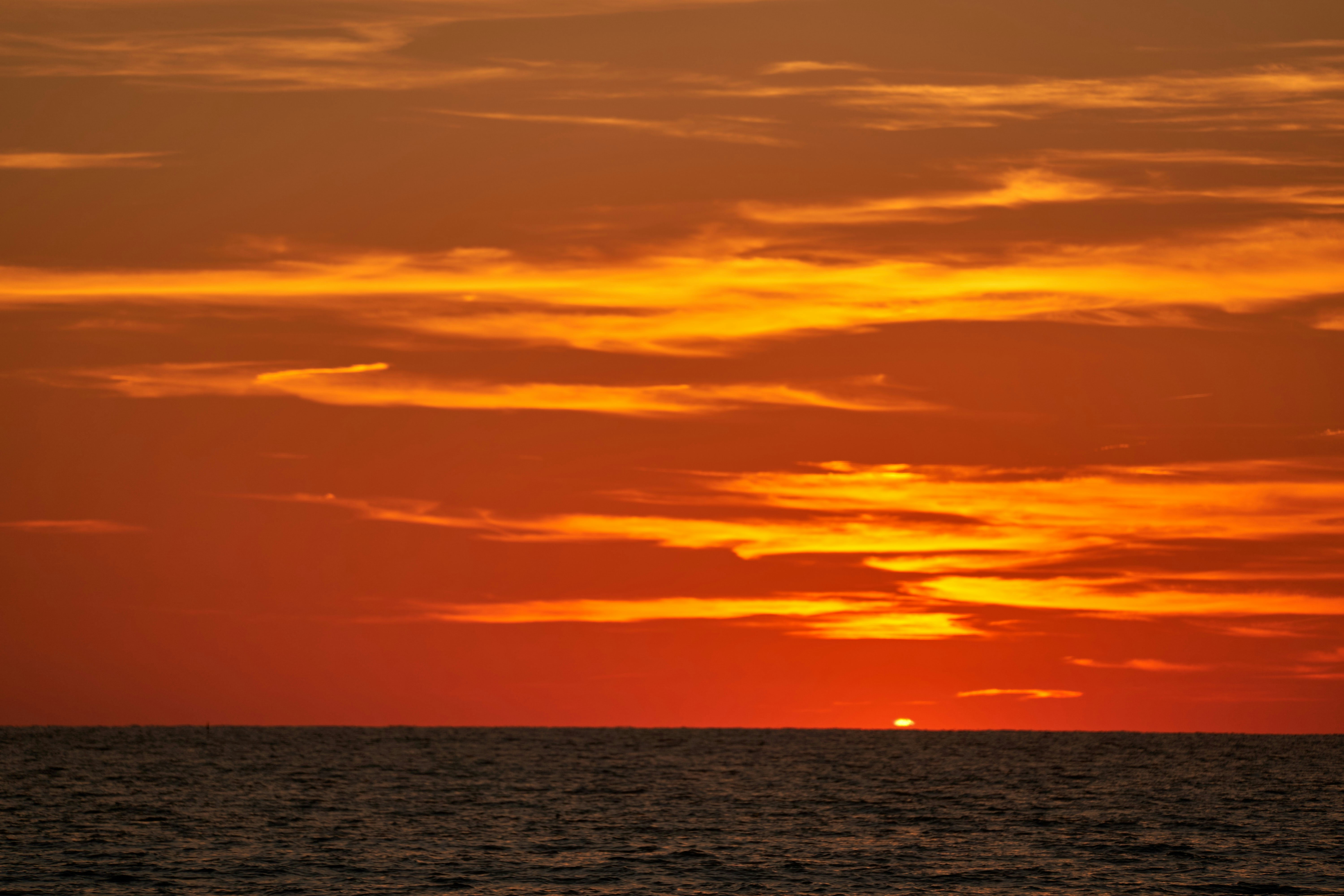 Photo by wolfgang_hasselmann