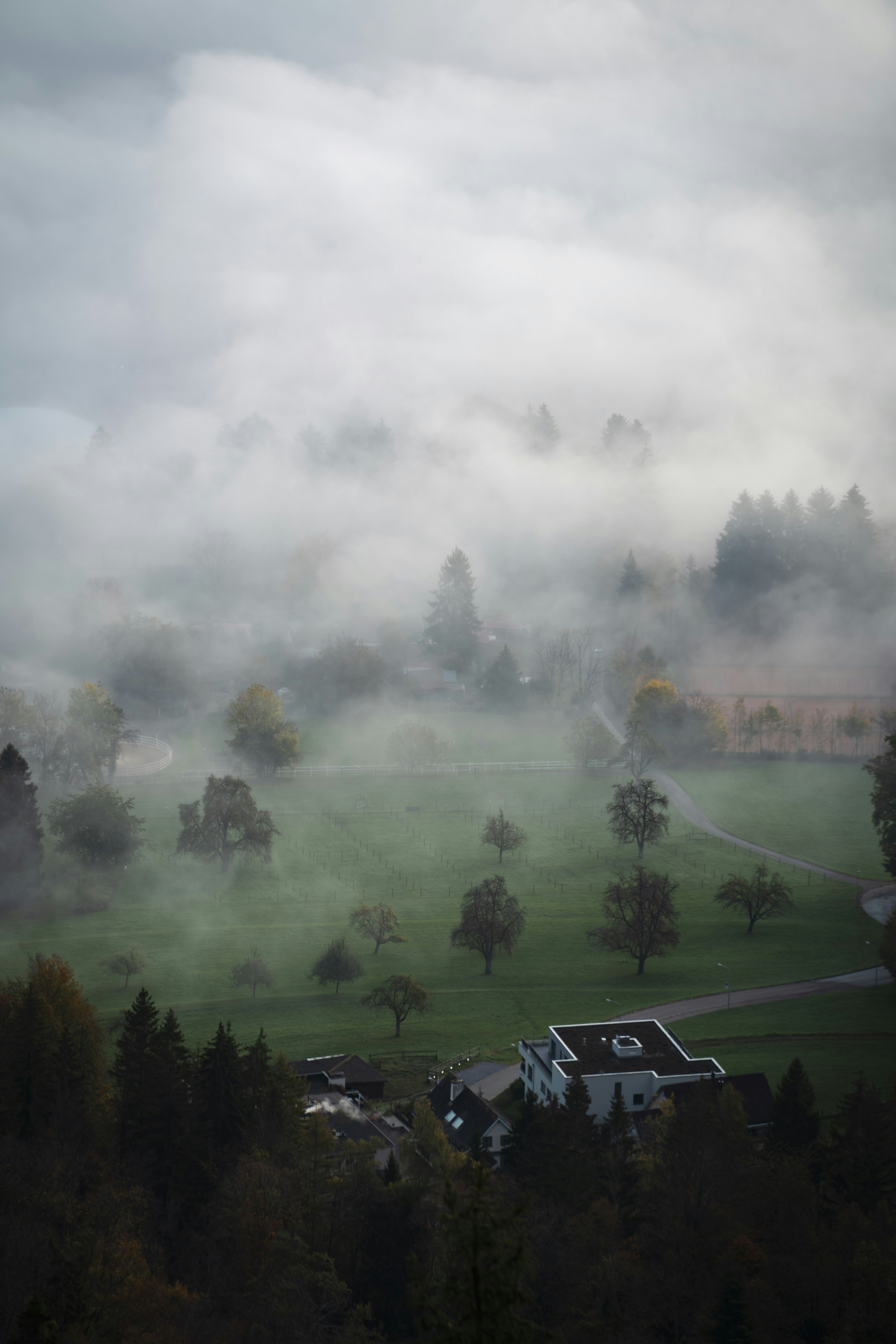 Photo by opohmelka
