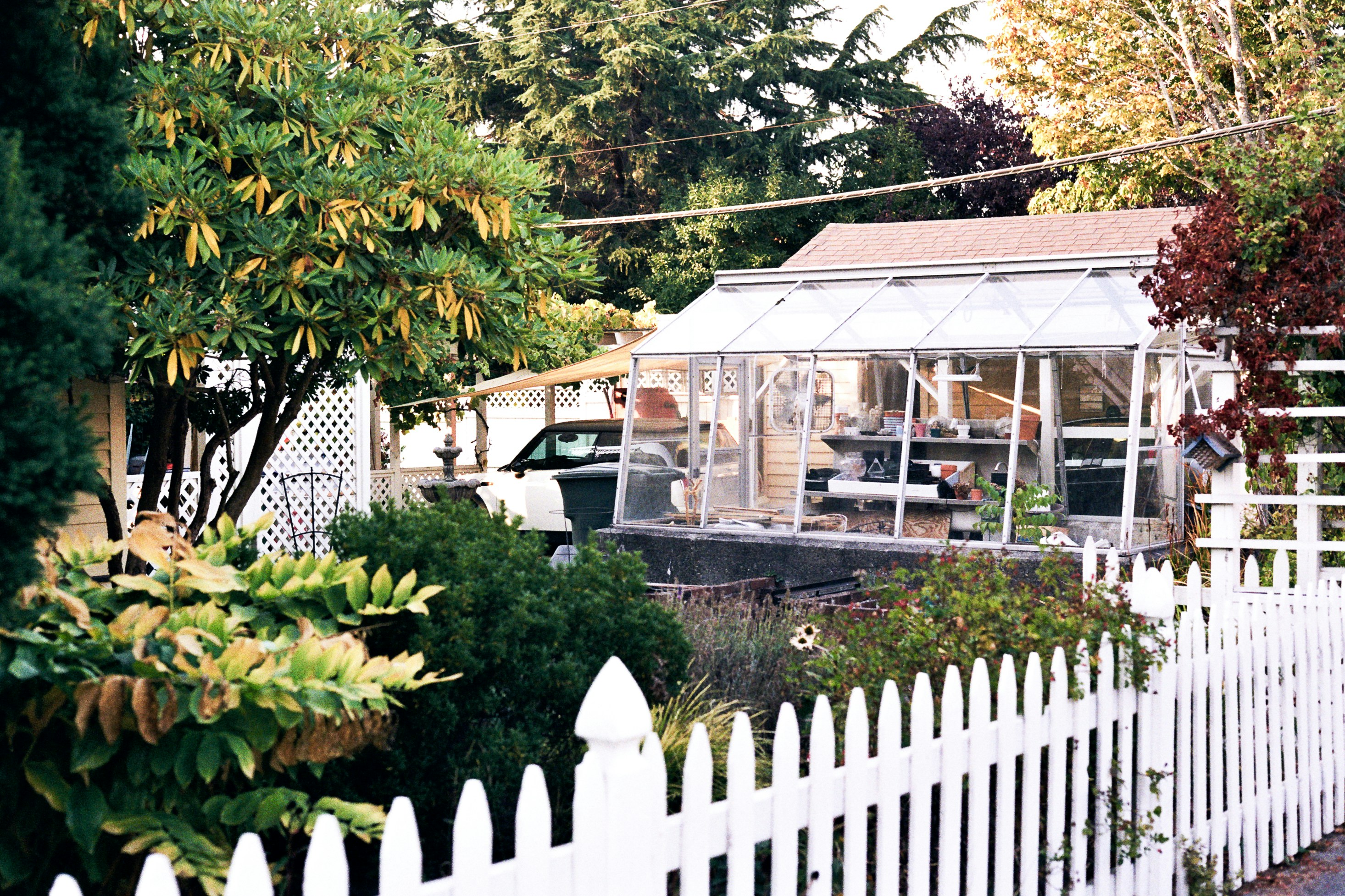 Commodore Public House And Kitchen Wilmington Menu