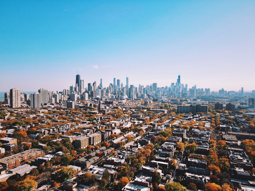 a city skyline with a blue sky