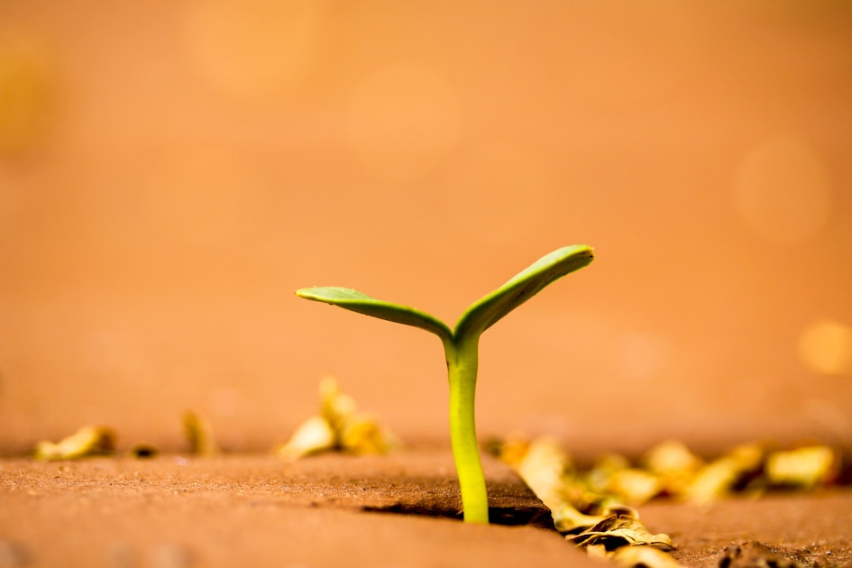 Rate of return definition: what it actually means and why your brain rounds it up