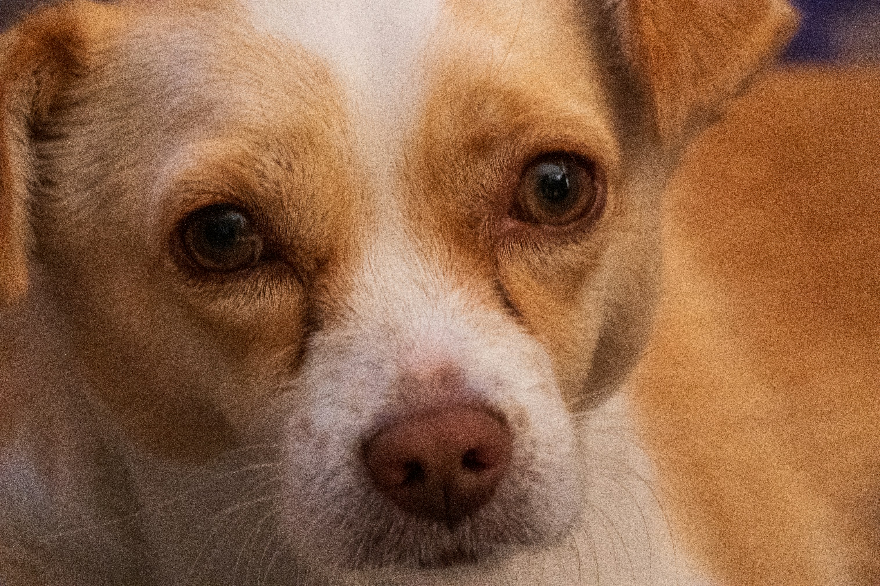 Photo by jannerboy62