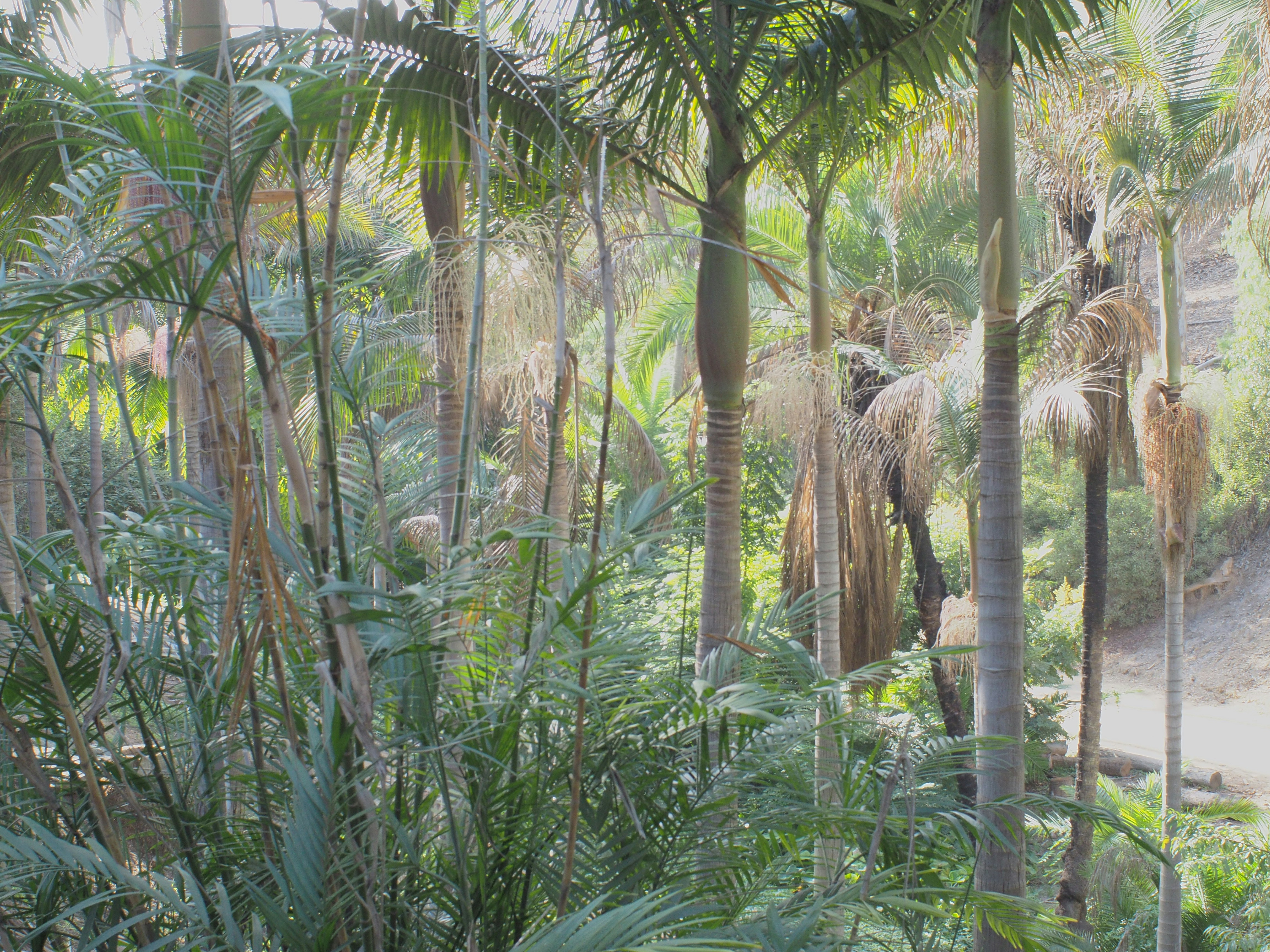 Parqueológico Flora y Fauna