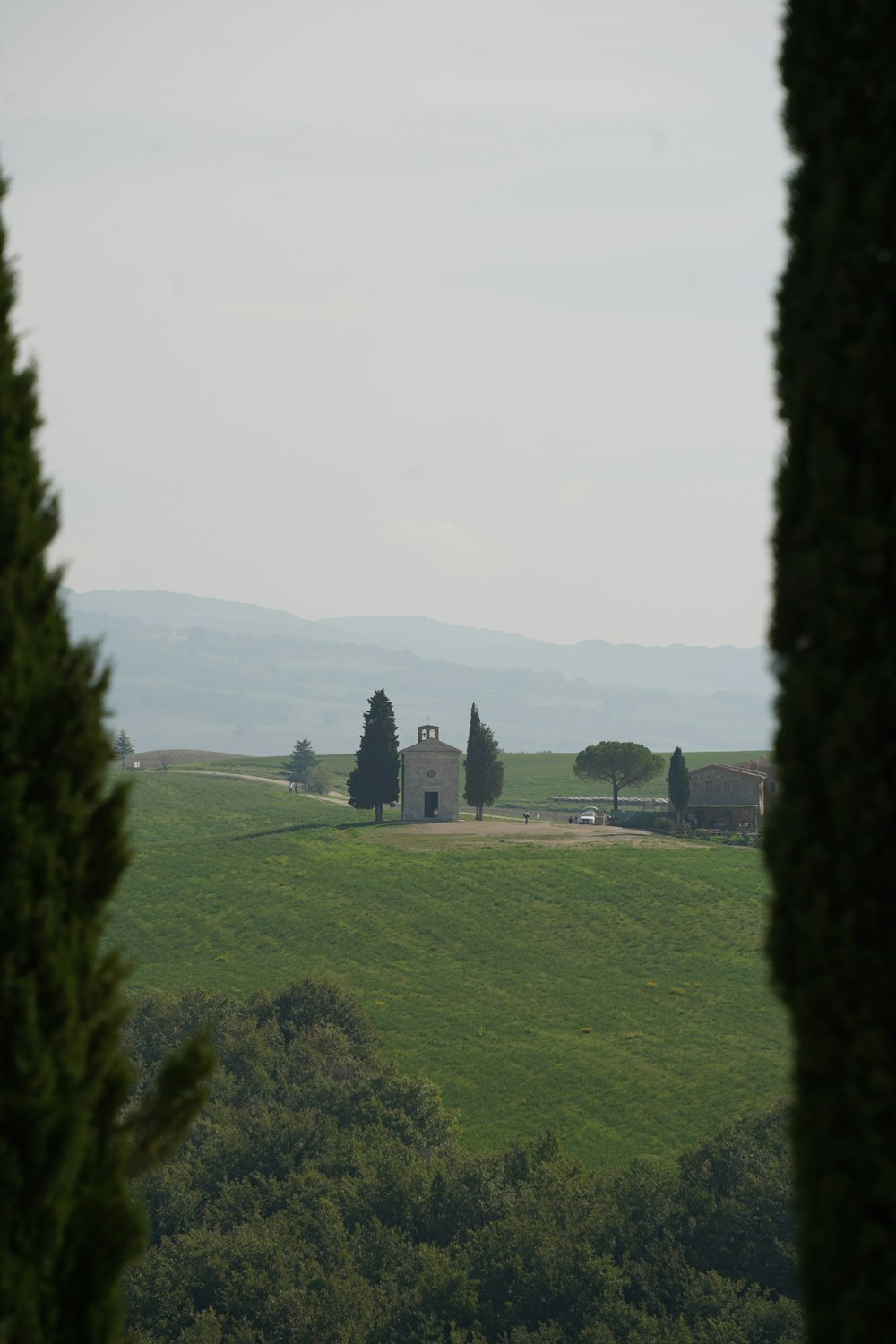 a grassy field with trees and buildings