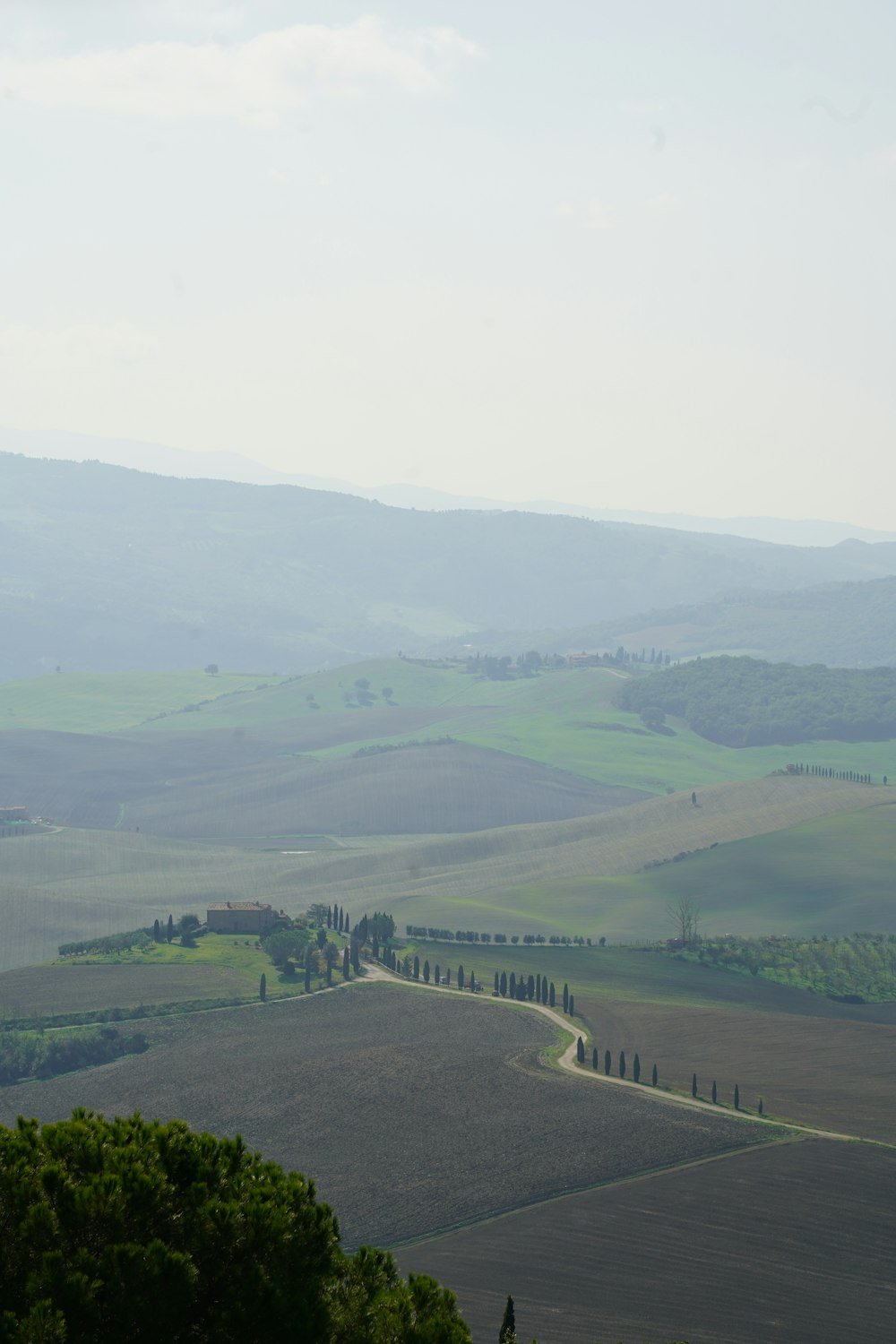 a large green landscape