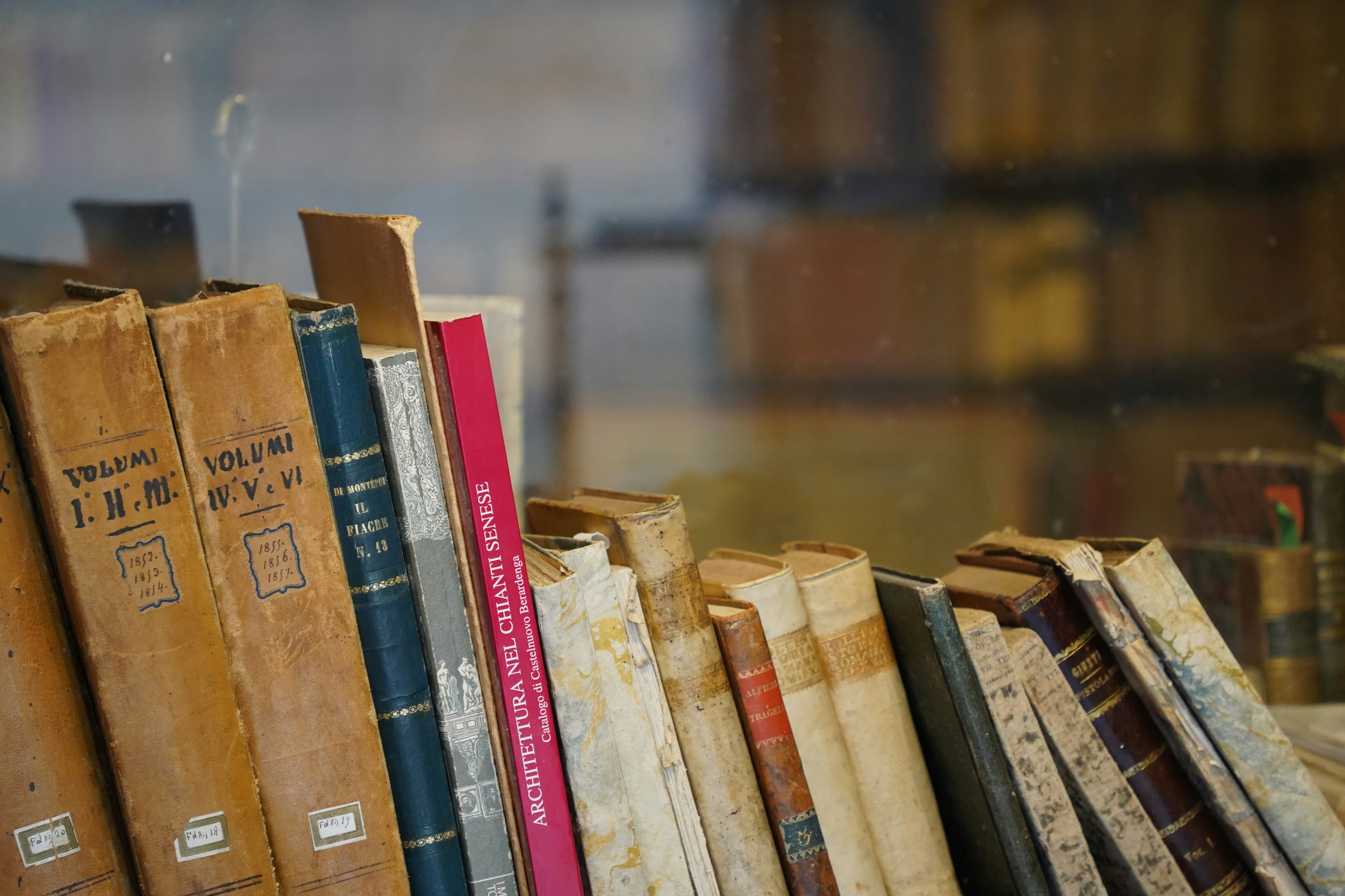 Photo by shpetimujkani