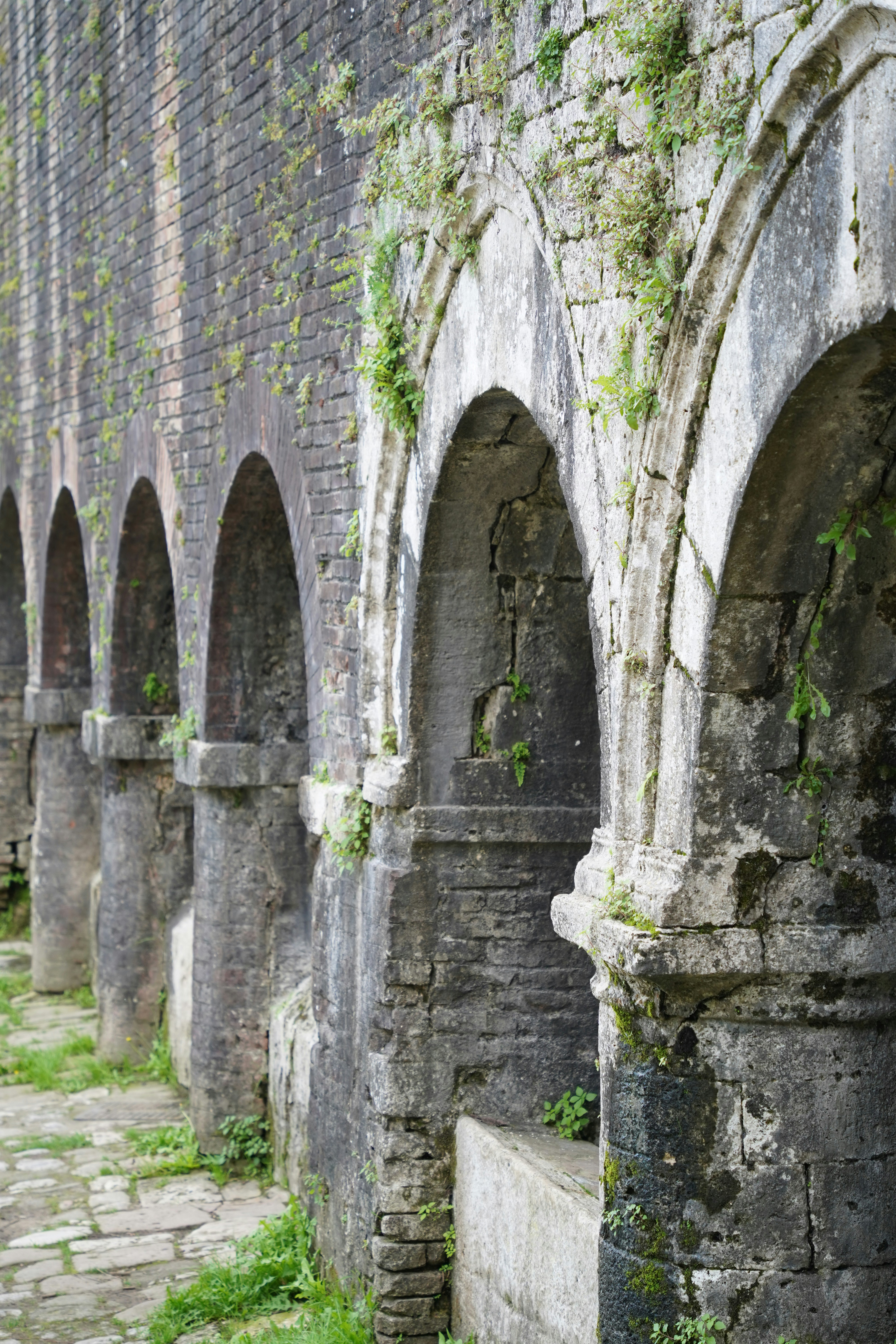 Photo by shpetimujkani