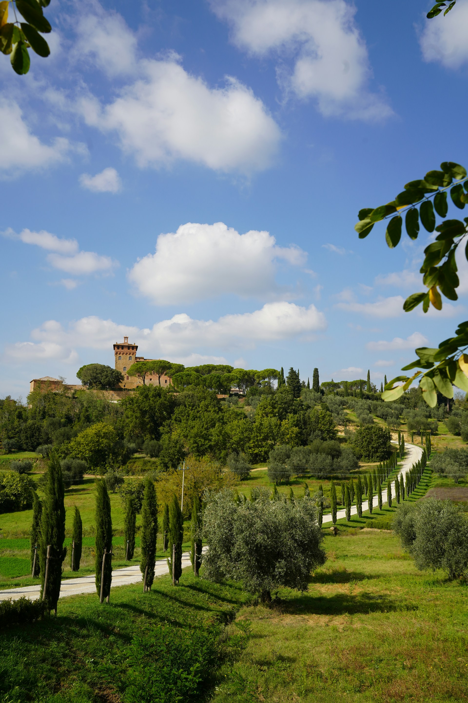 a garden with trees and a castle in the background