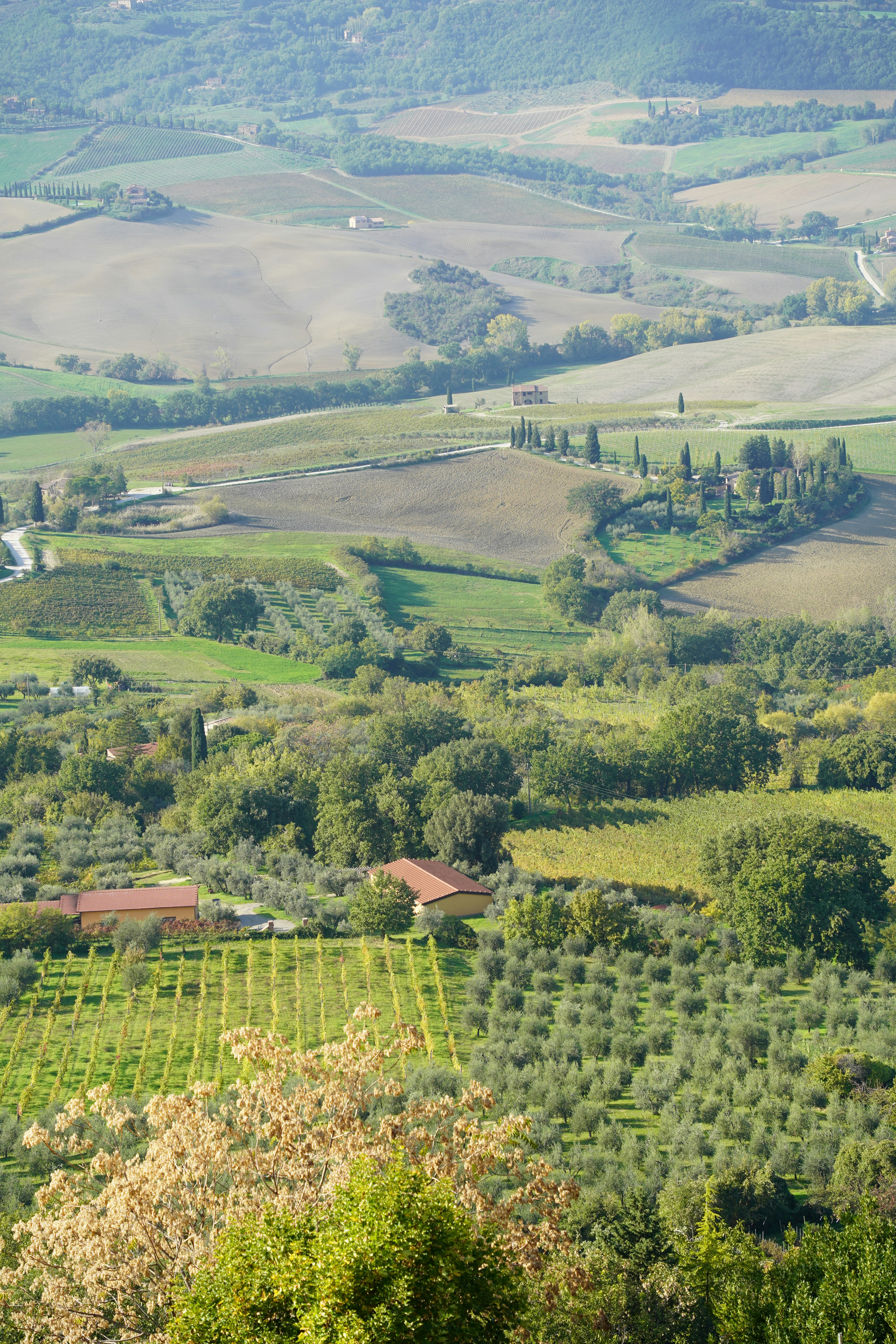 Photo by shpetimujkani